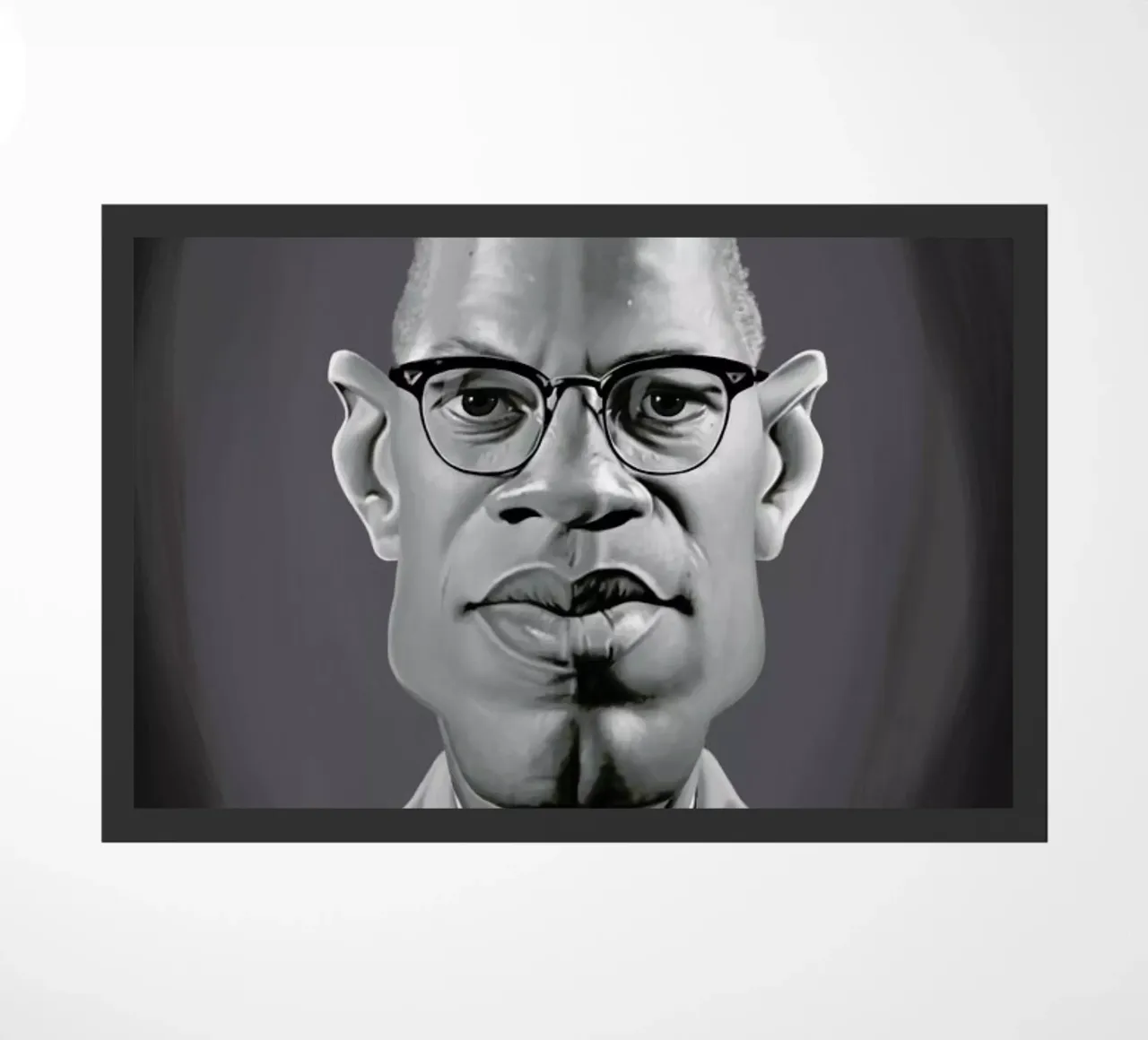 Malcolm X zerbino da Rob Art | Illustration