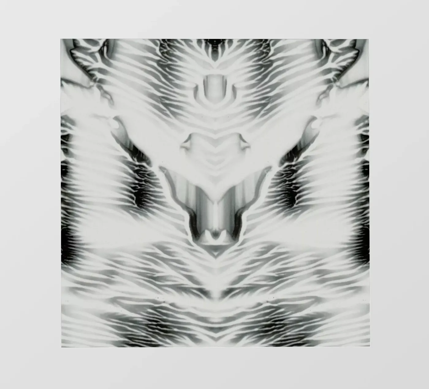 External telo in pvc da Bryon S. White