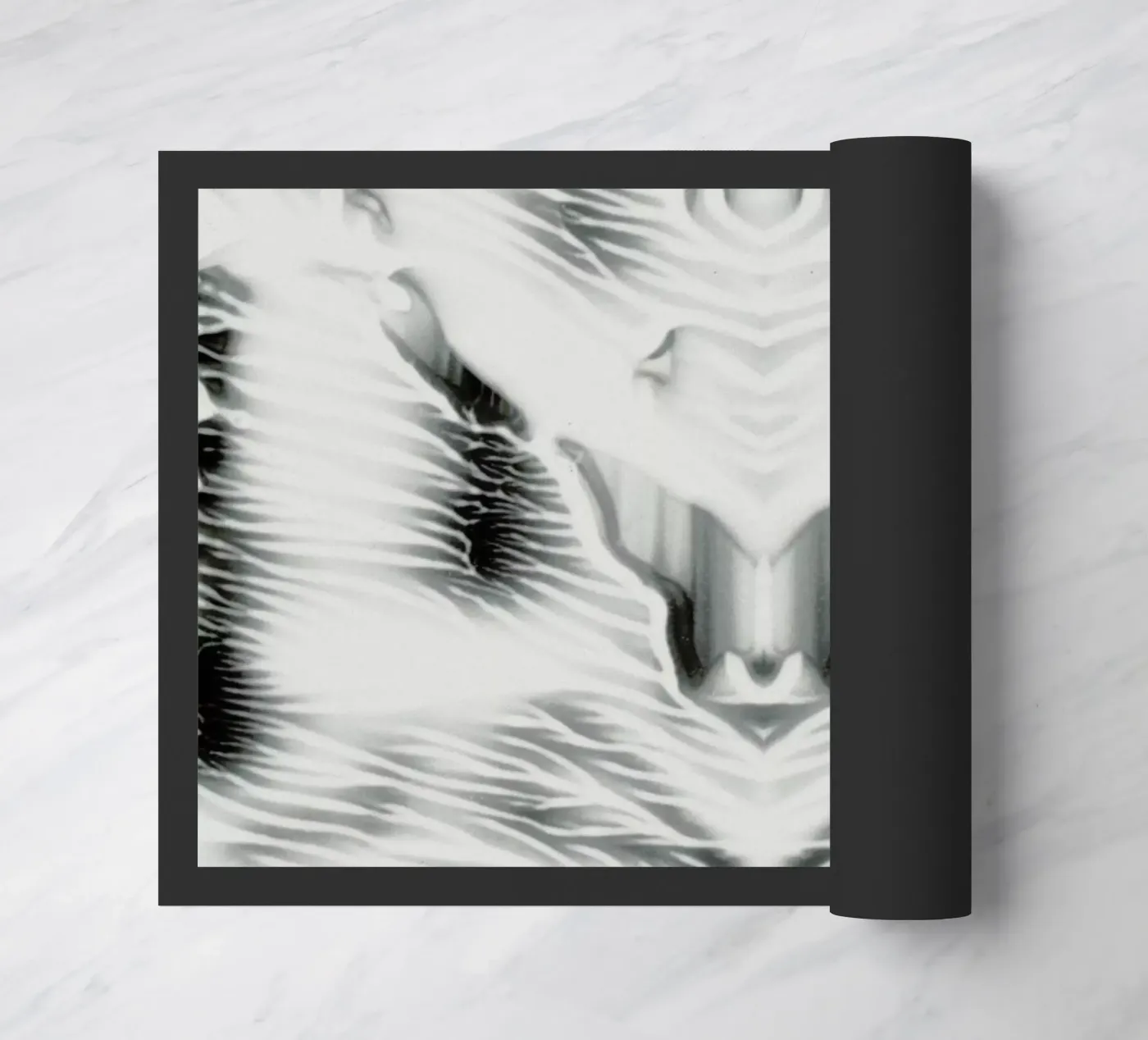 External paillasson de Bryon S. White
