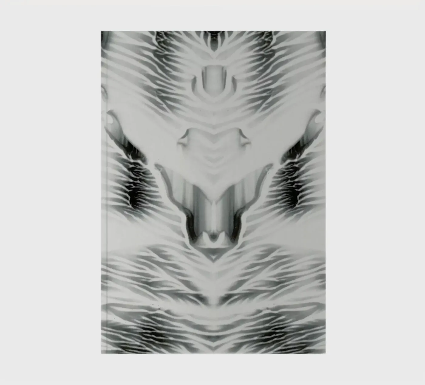 External notebook by Bryon S. White