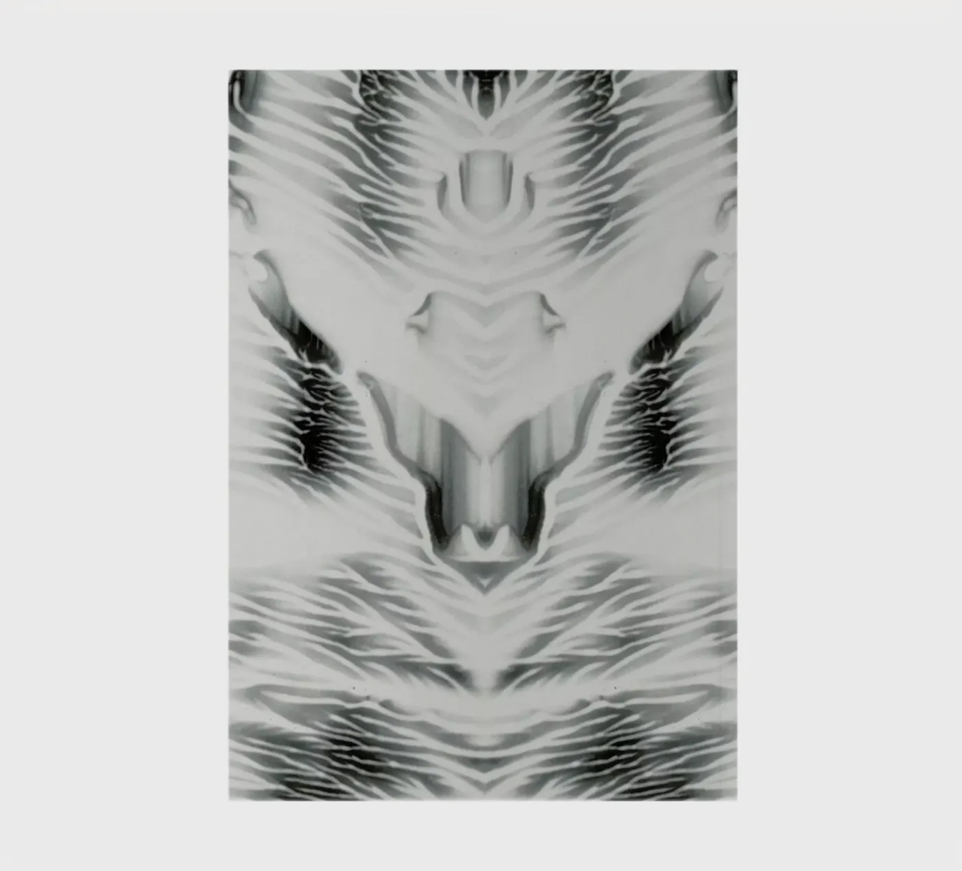 External notebook by Bryon S. White