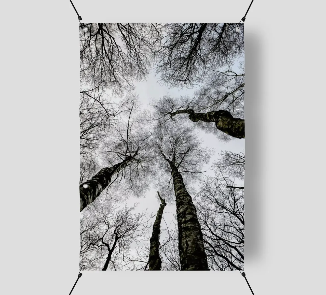 Forest 1 telo in pvc da Shot By Clint
