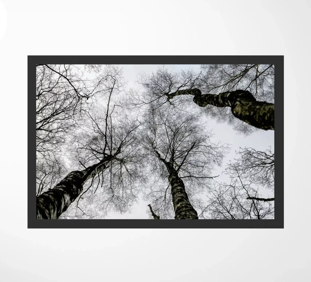 Forest 1 doormat by Shot By Clint