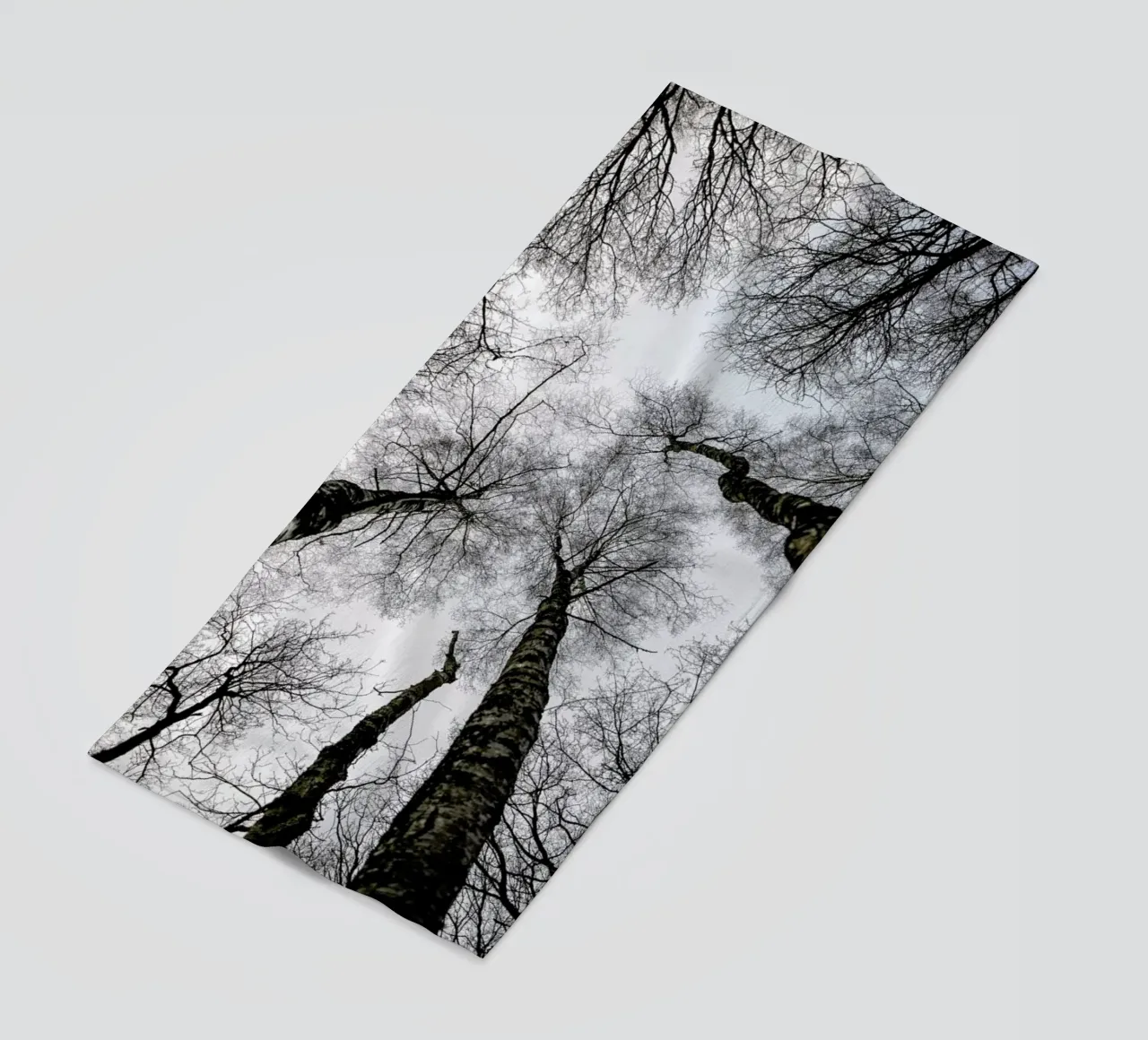 Forest 1 telo mare da Shot By Clint