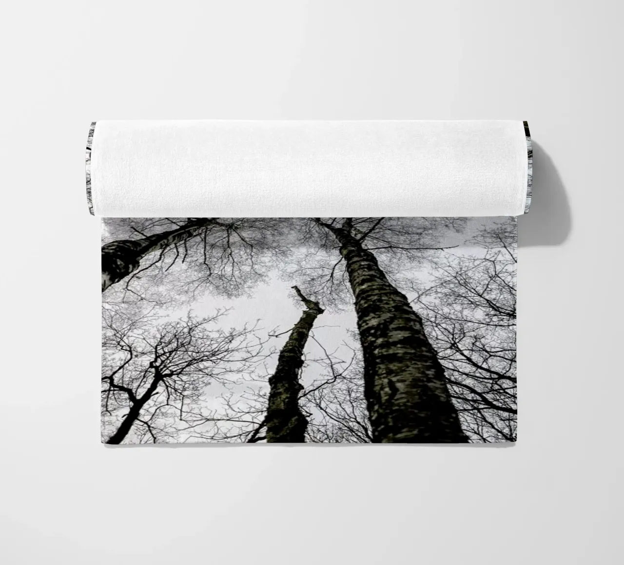 Forest 1 telo mare da Shot By Clint