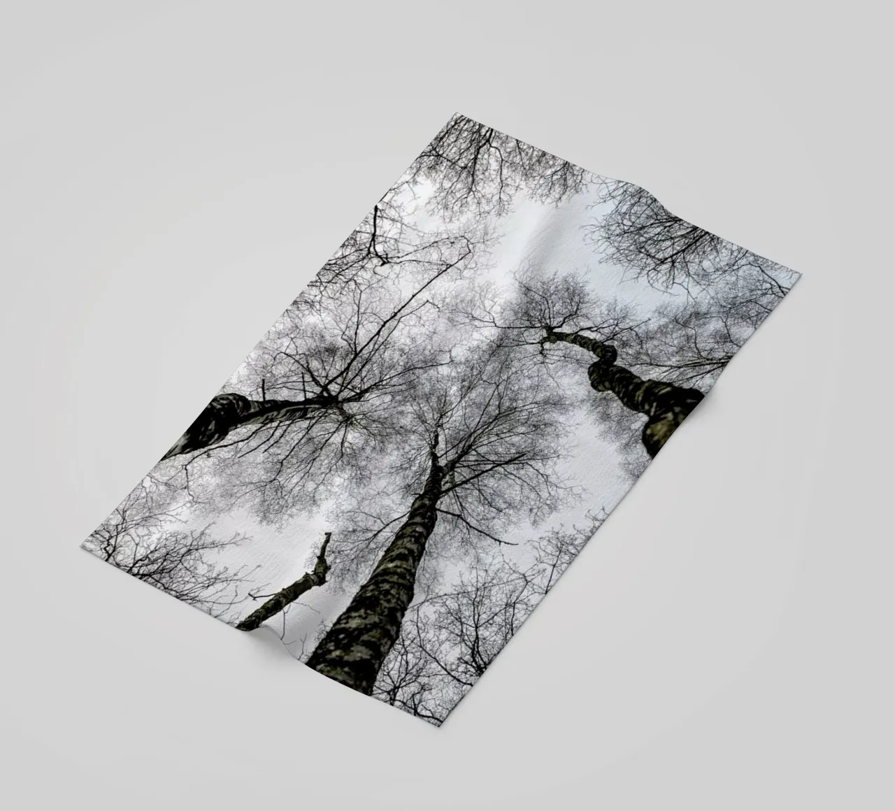 Forest 1 telo mare da Shot By Clint