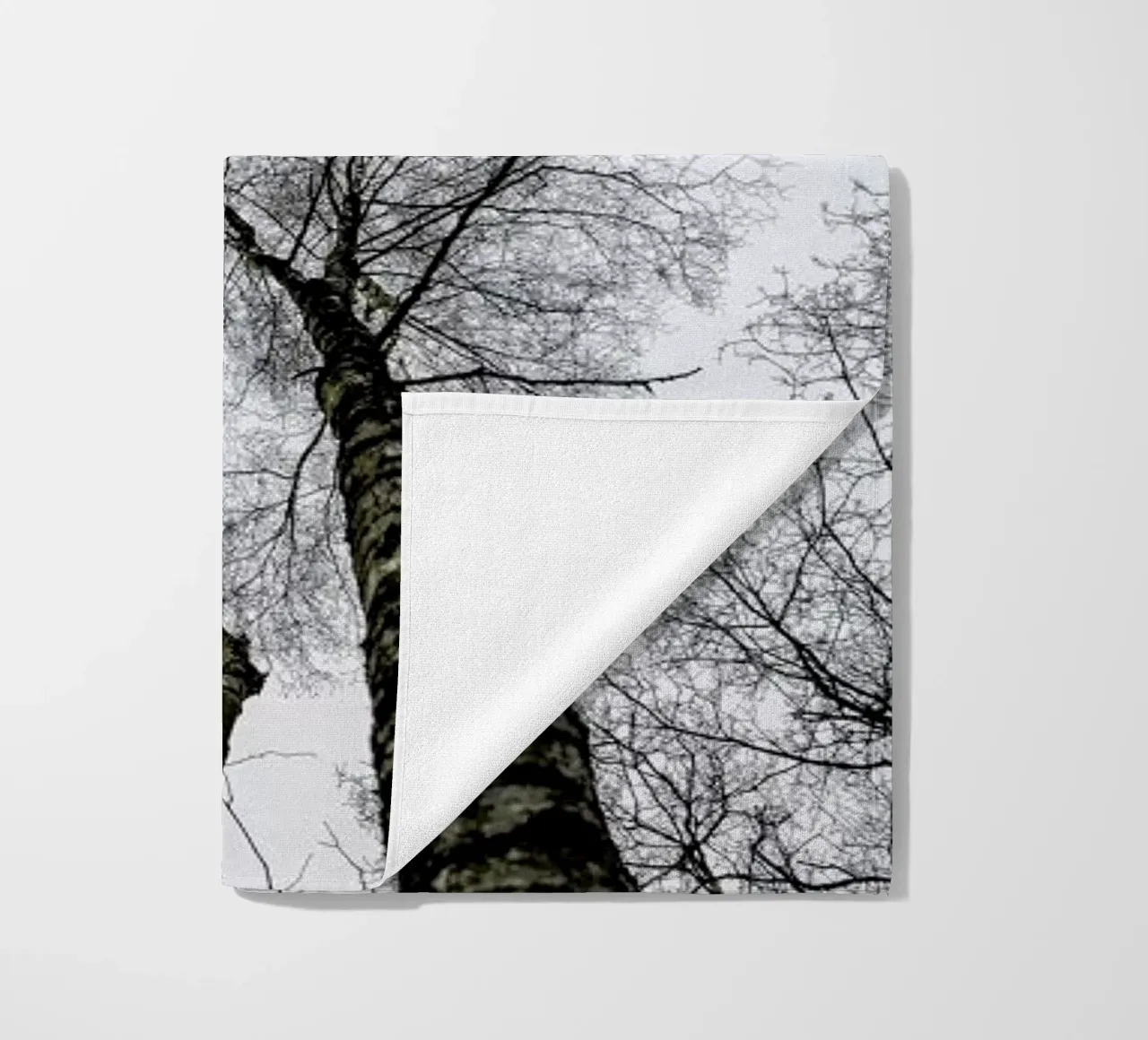 Forest 1 telo mare da Shot By Clint