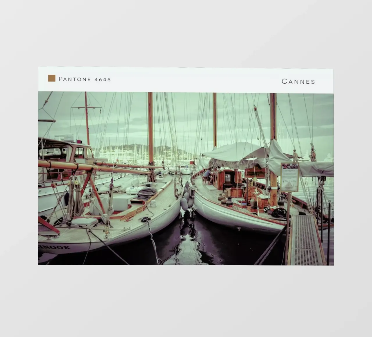 Cannes 4645 telo in pvc da In Full Color