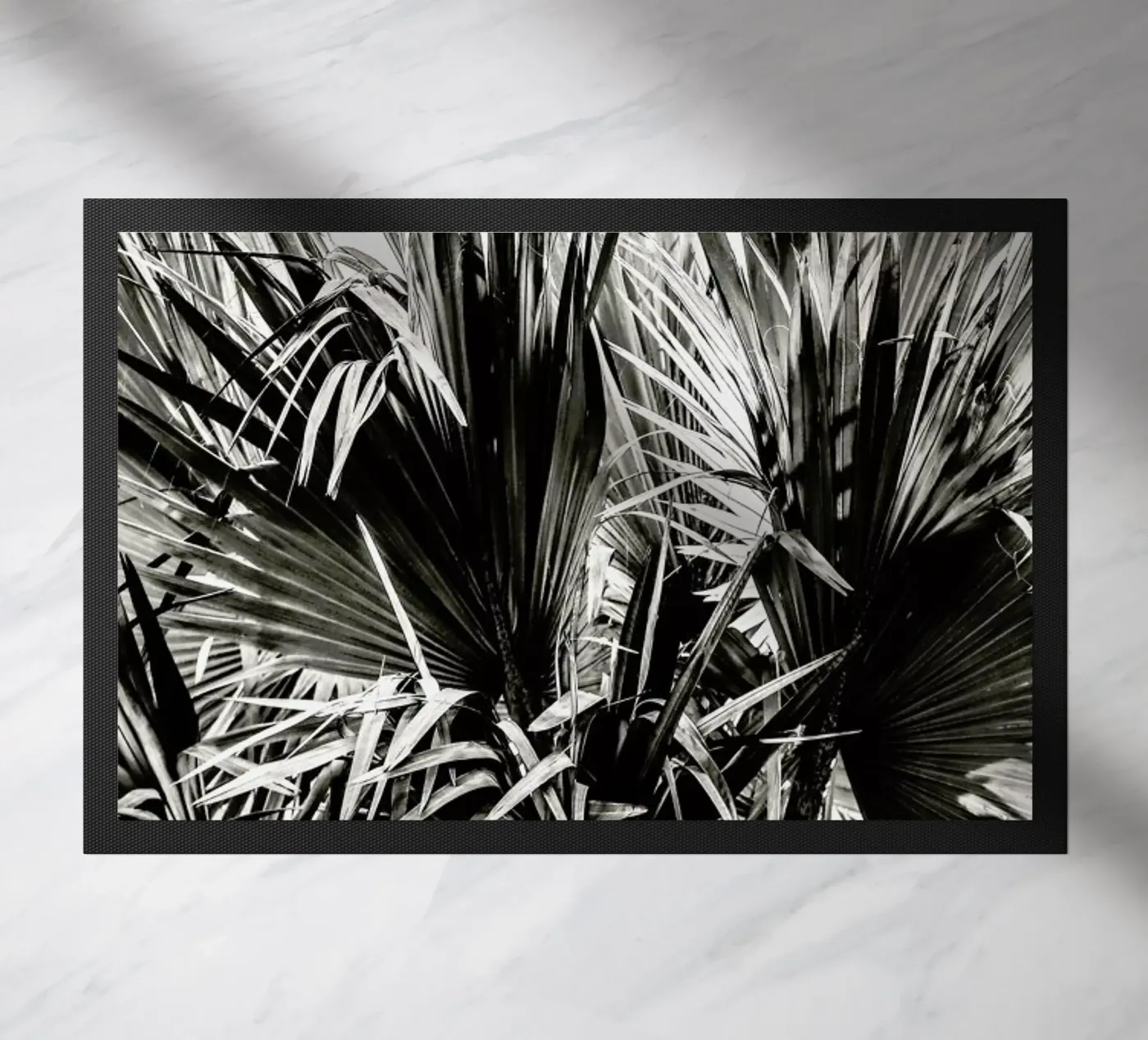 Ifafa zerbino da Shot By Clint