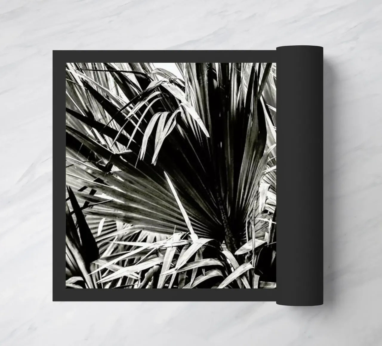 Ifafa zerbino da Shot By Clint