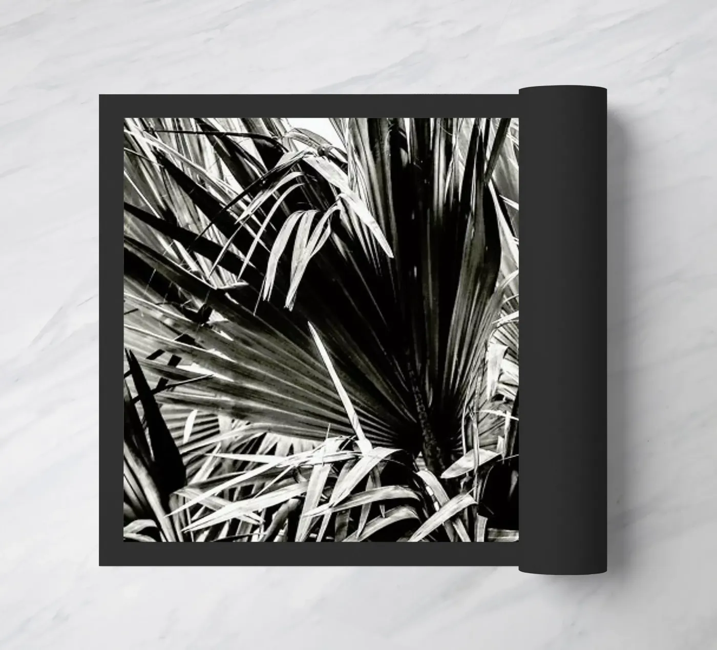 Ifafa zerbino da Shot By Clint