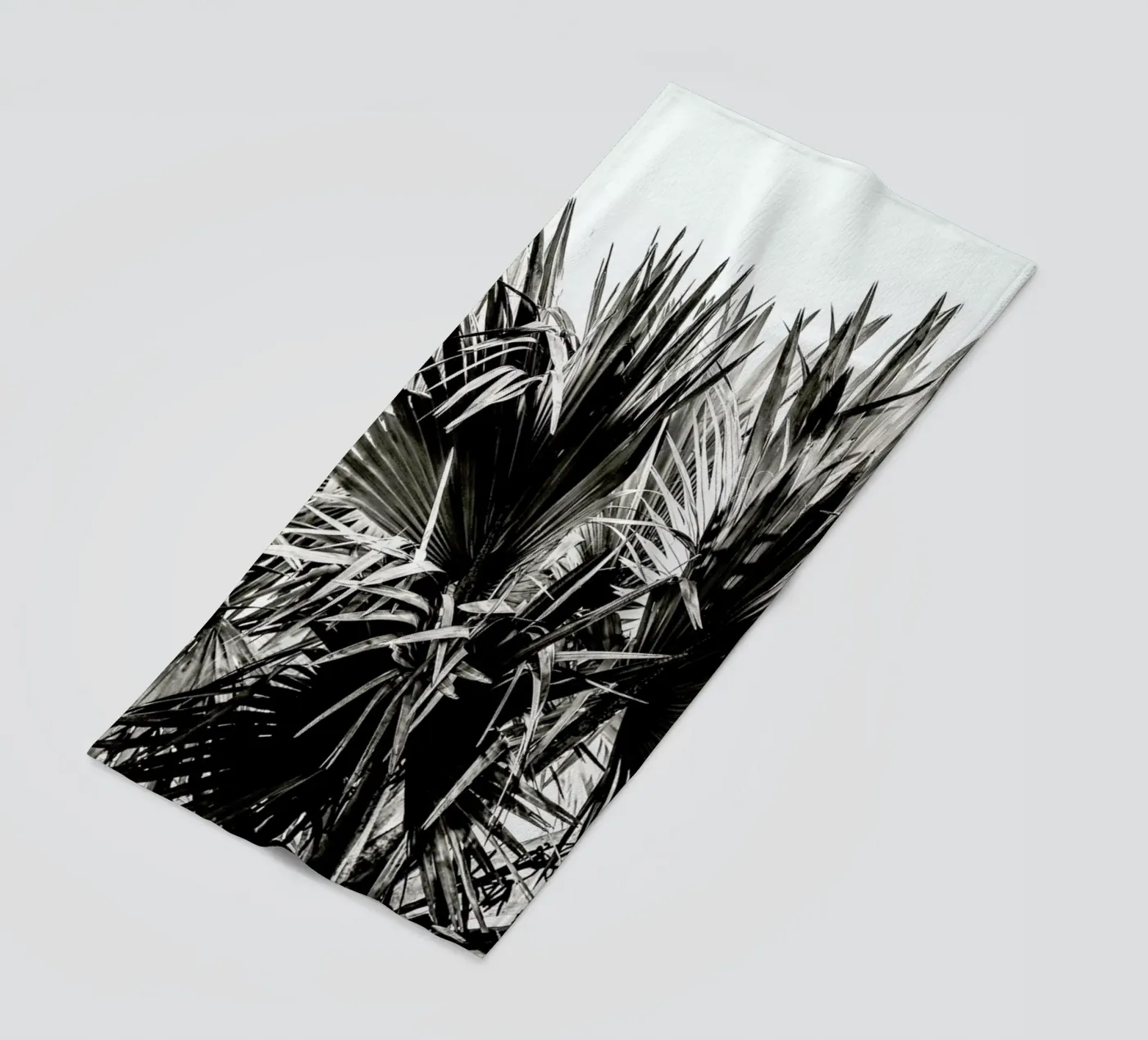 Ifafa telo mare da Shot By Clint