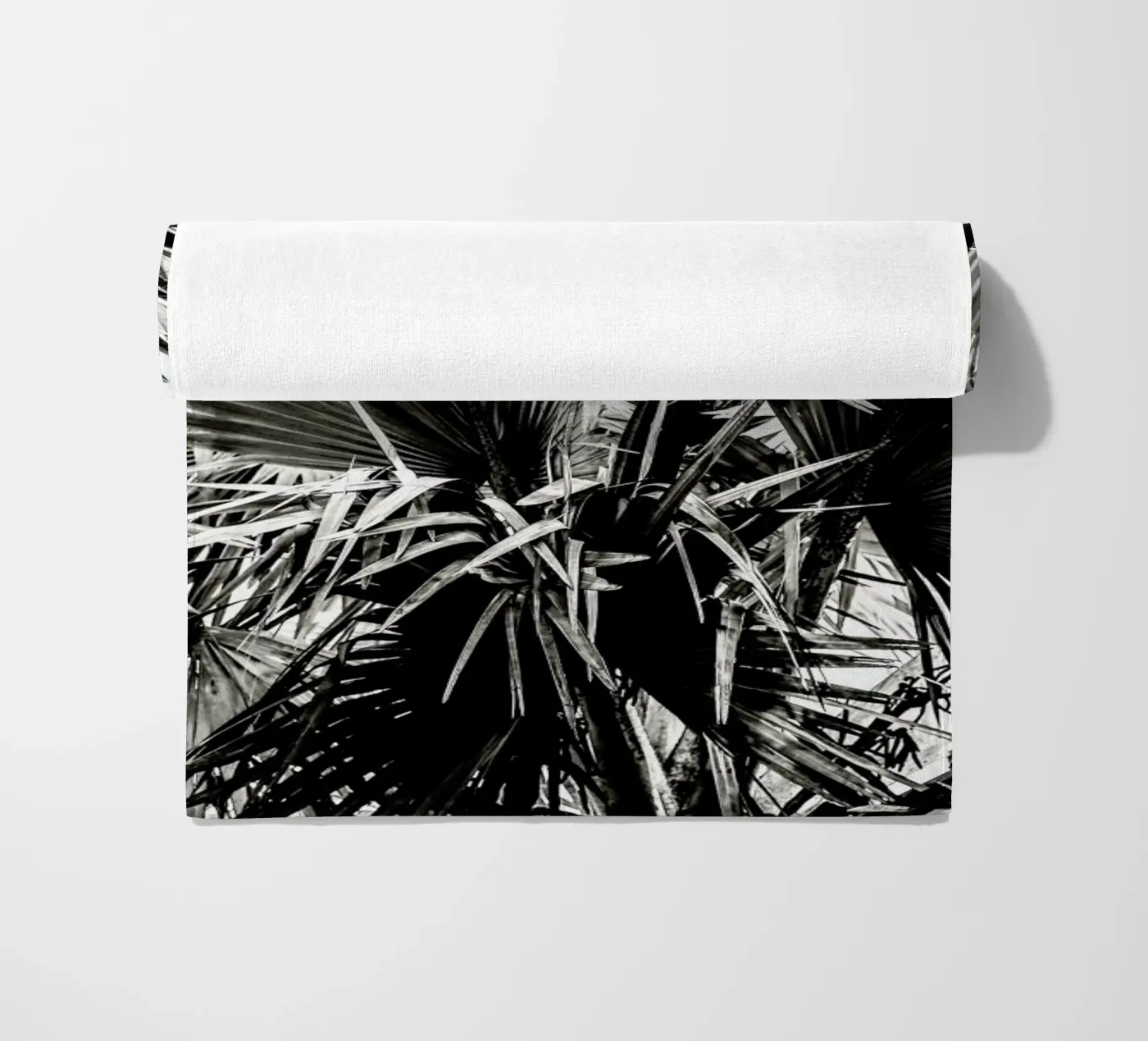 Ifafa telo mare da Shot By Clint