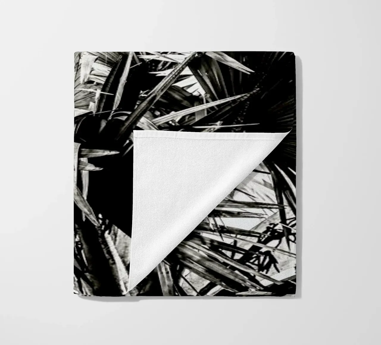 Ifafa telo mare da Shot By Clint