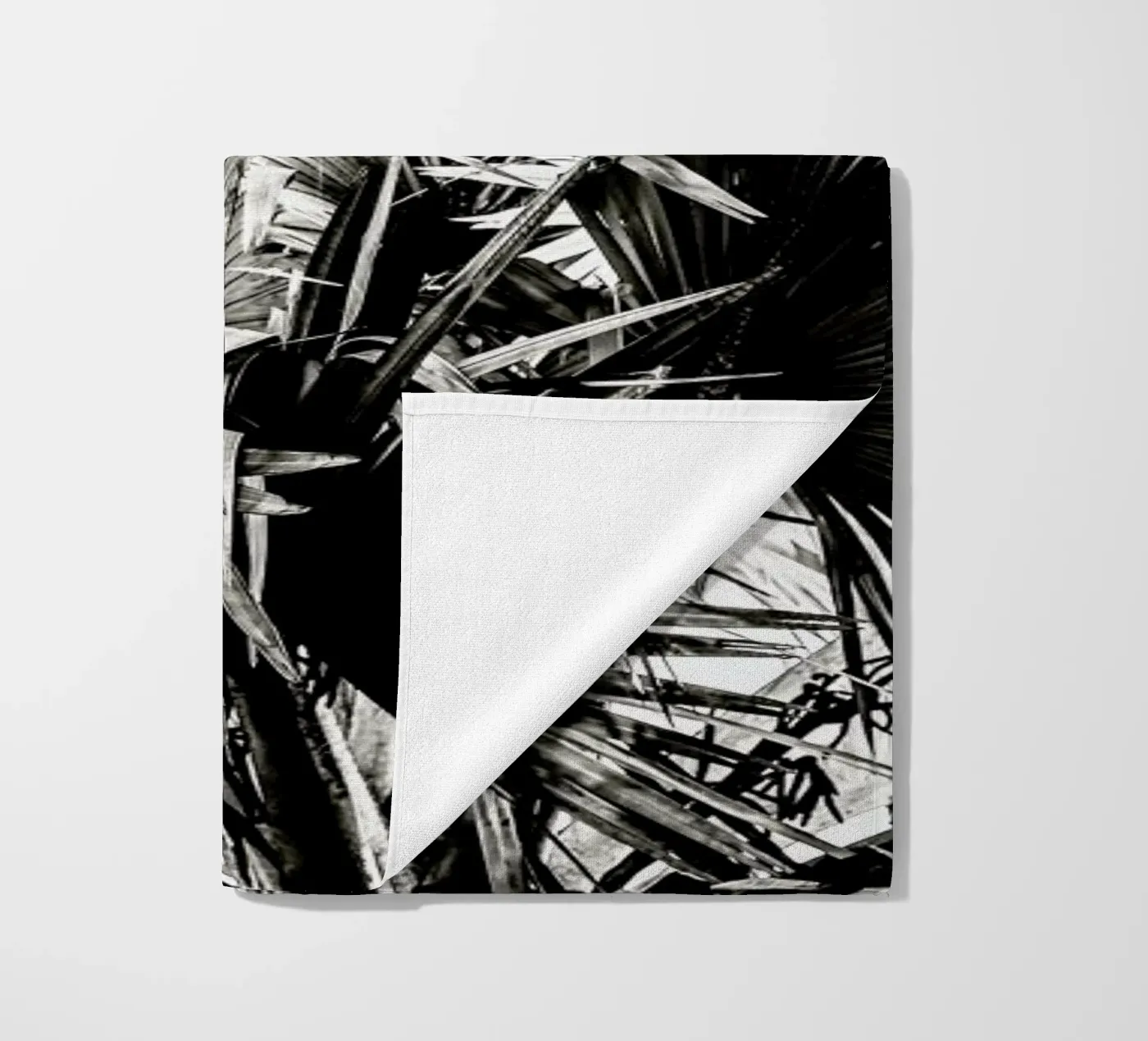 Ifafa telo mare da Shot By Clint