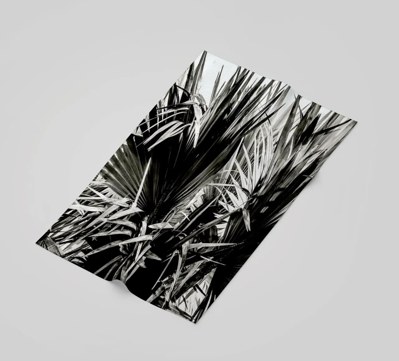 Ifafa telo mare da Shot By Clint