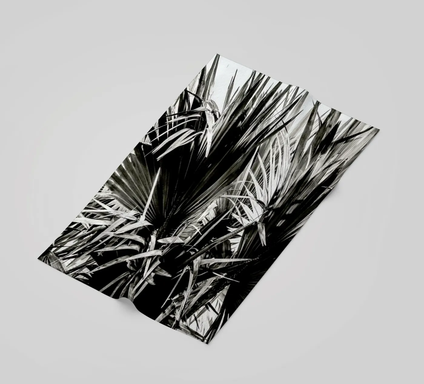 Ifafa telo mare da Shot By Clint