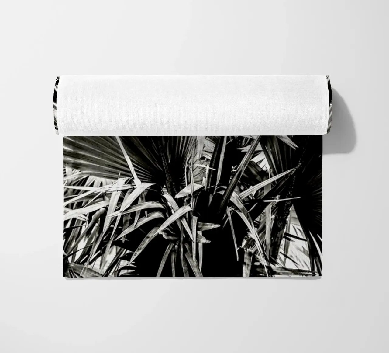 Ifafa telo mare da Shot By Clint