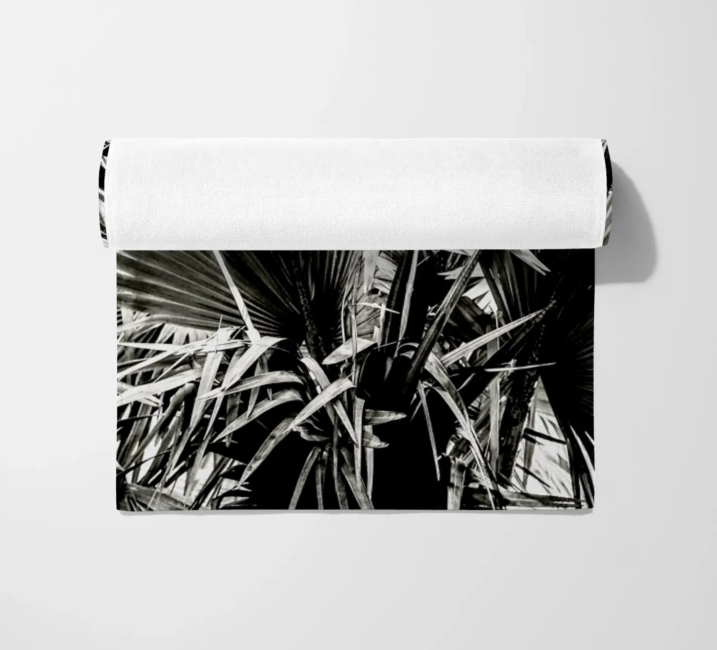 Ifafa telo mare da Shot By Clint