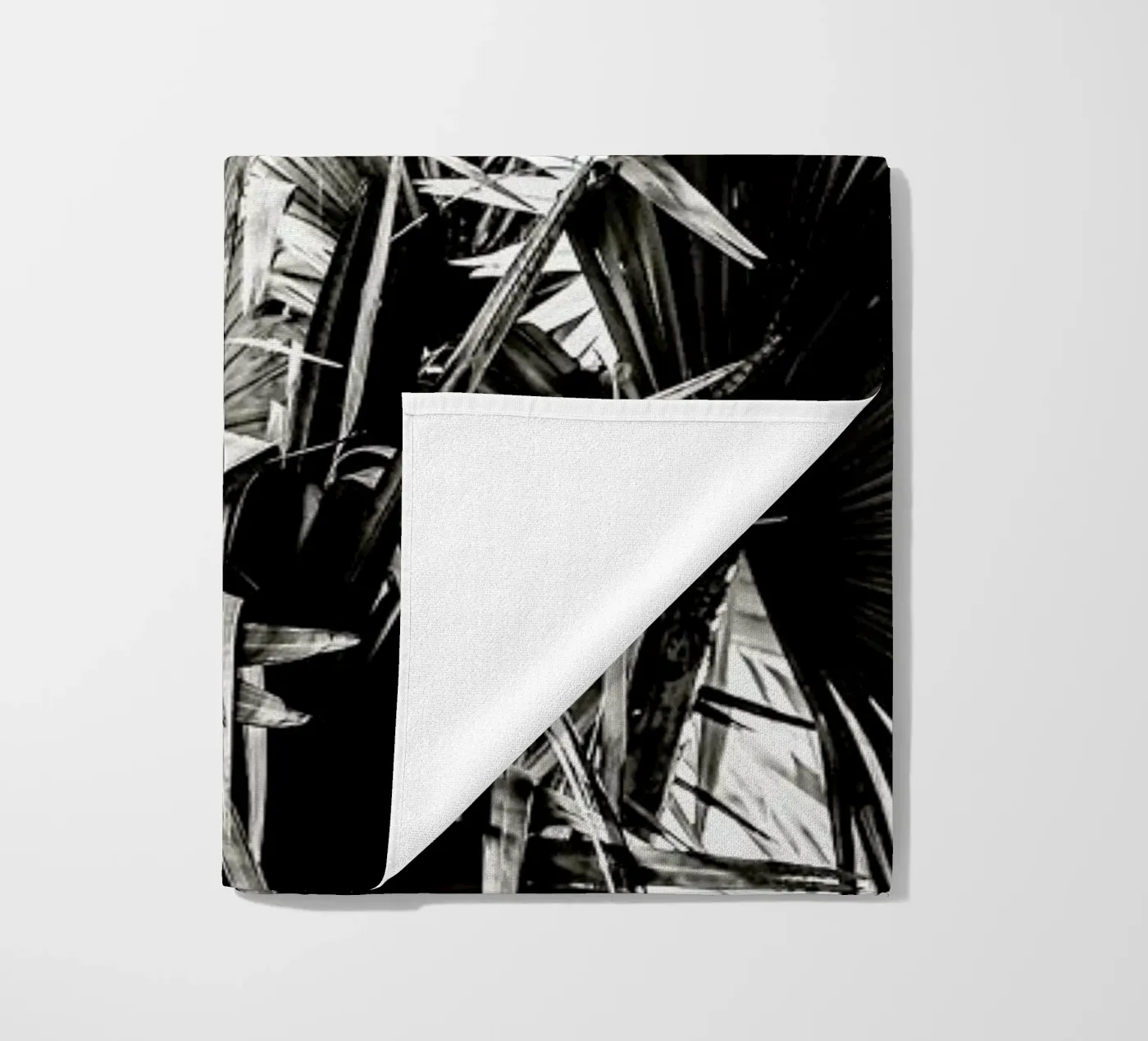 Ifafa telo mare da Shot By Clint