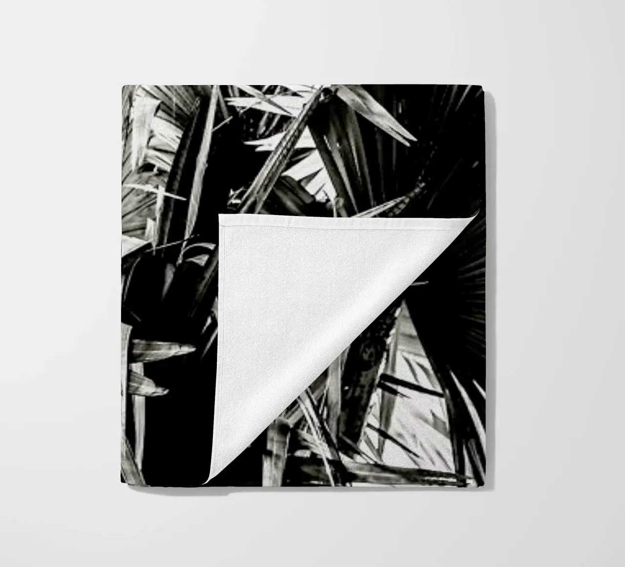 Ifafa telo mare da Shot By Clint