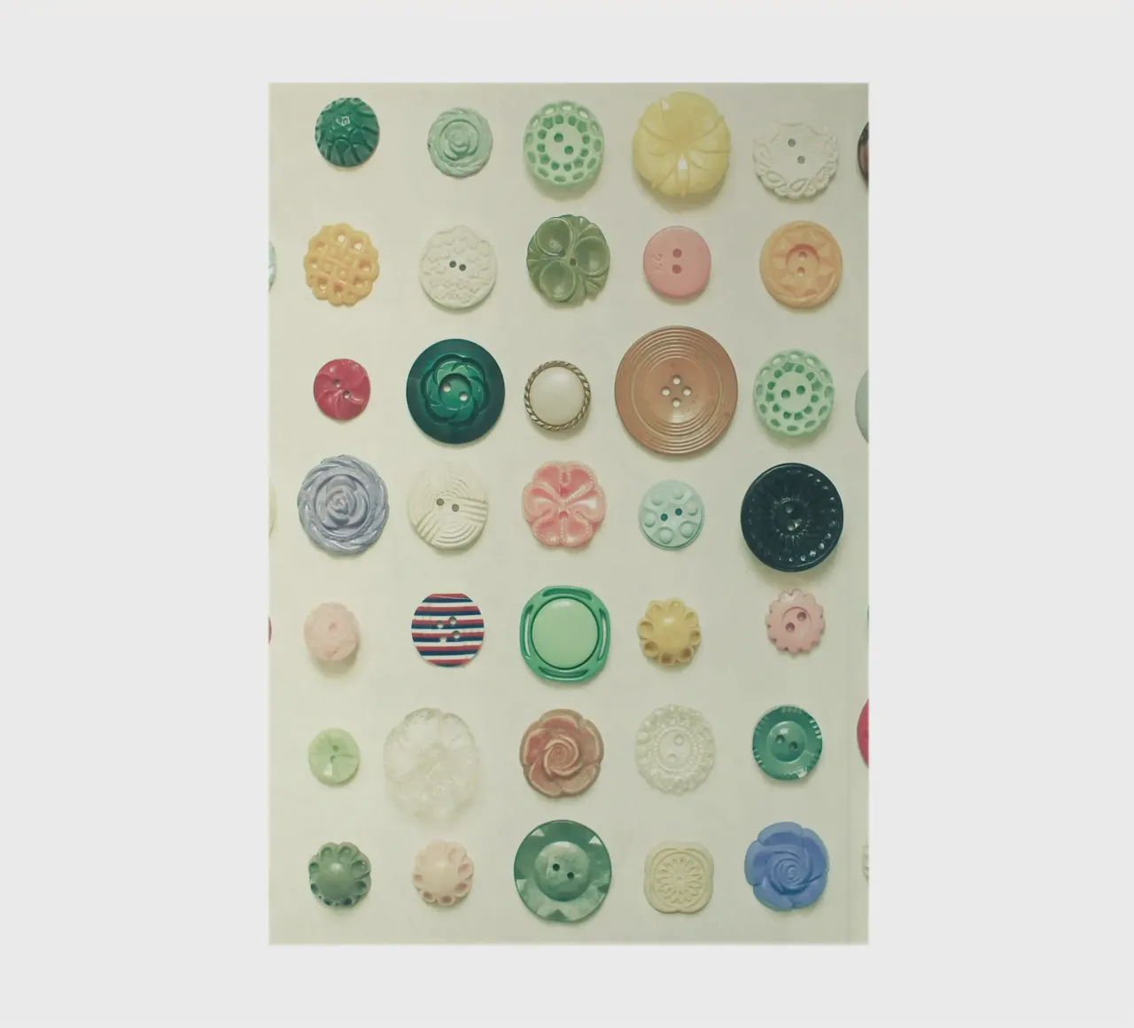 The Button Collection notebook by Cassia Beck Photography