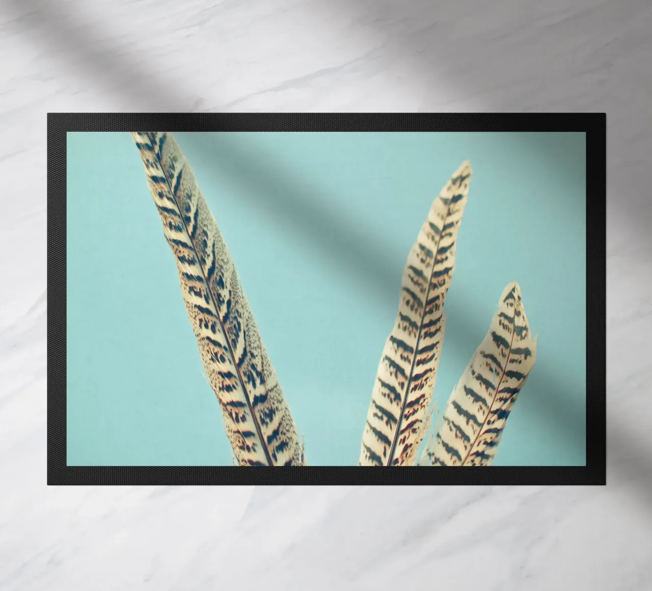 Piume zerbino da Cassia Beck Photography