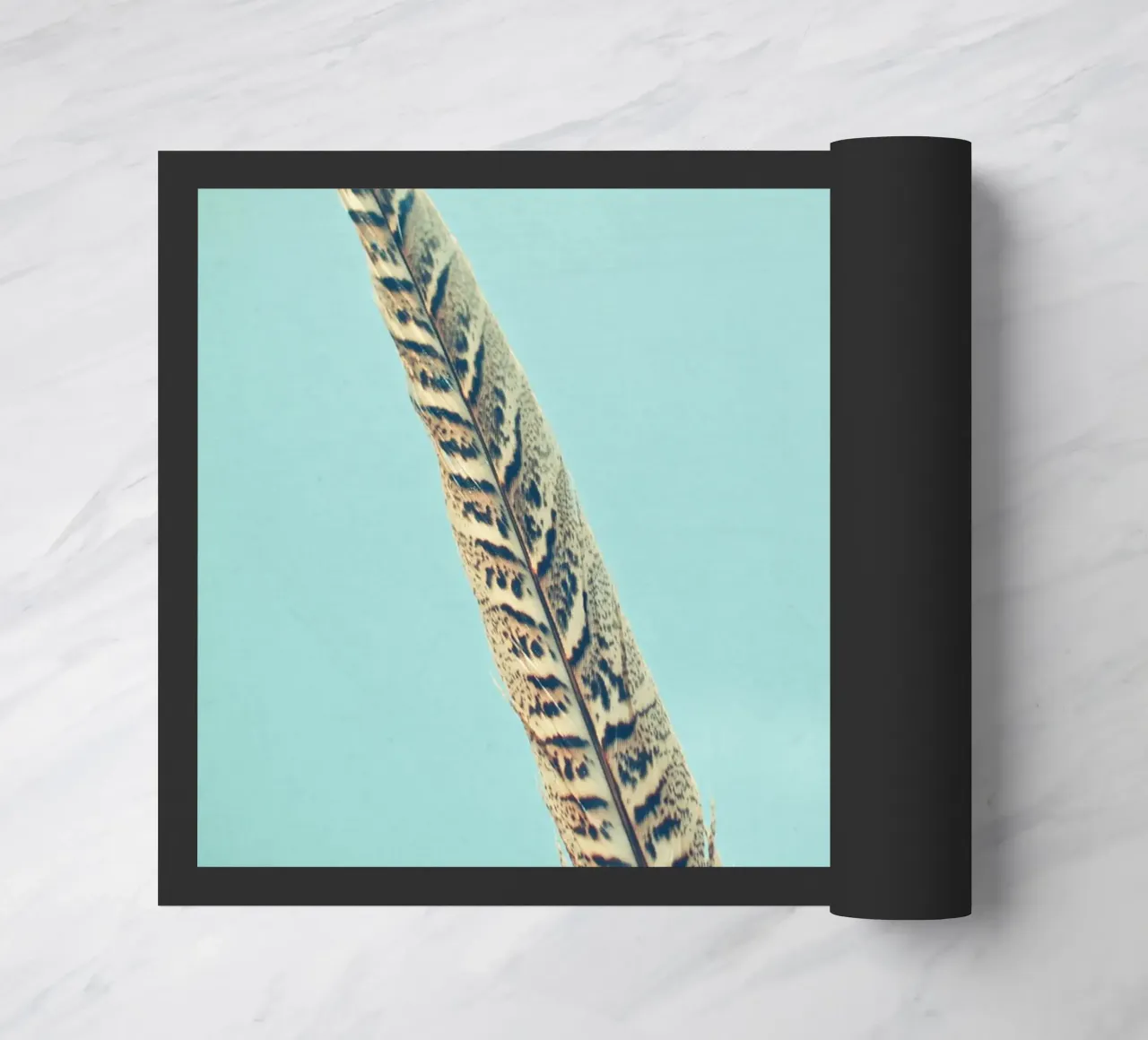 Piume zerbino da Cassia Beck Photography