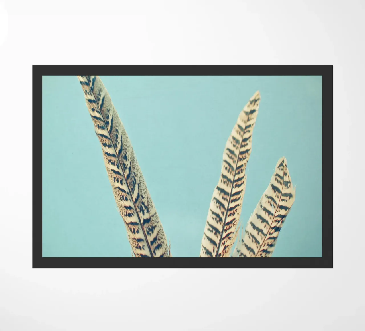 Piume zerbino da Cassia Beck Photography