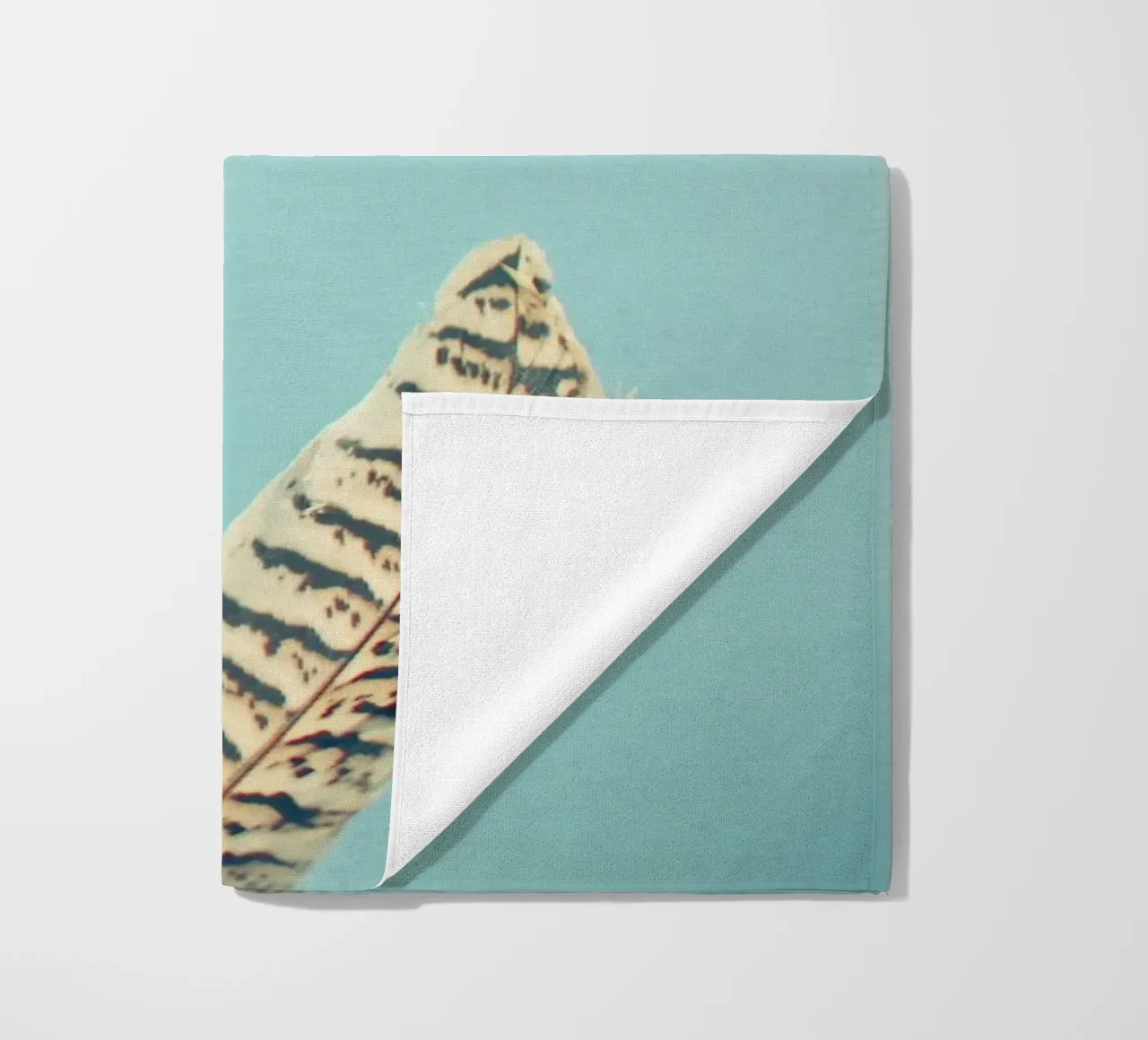 Piume telo mare da Cassia Beck Photography