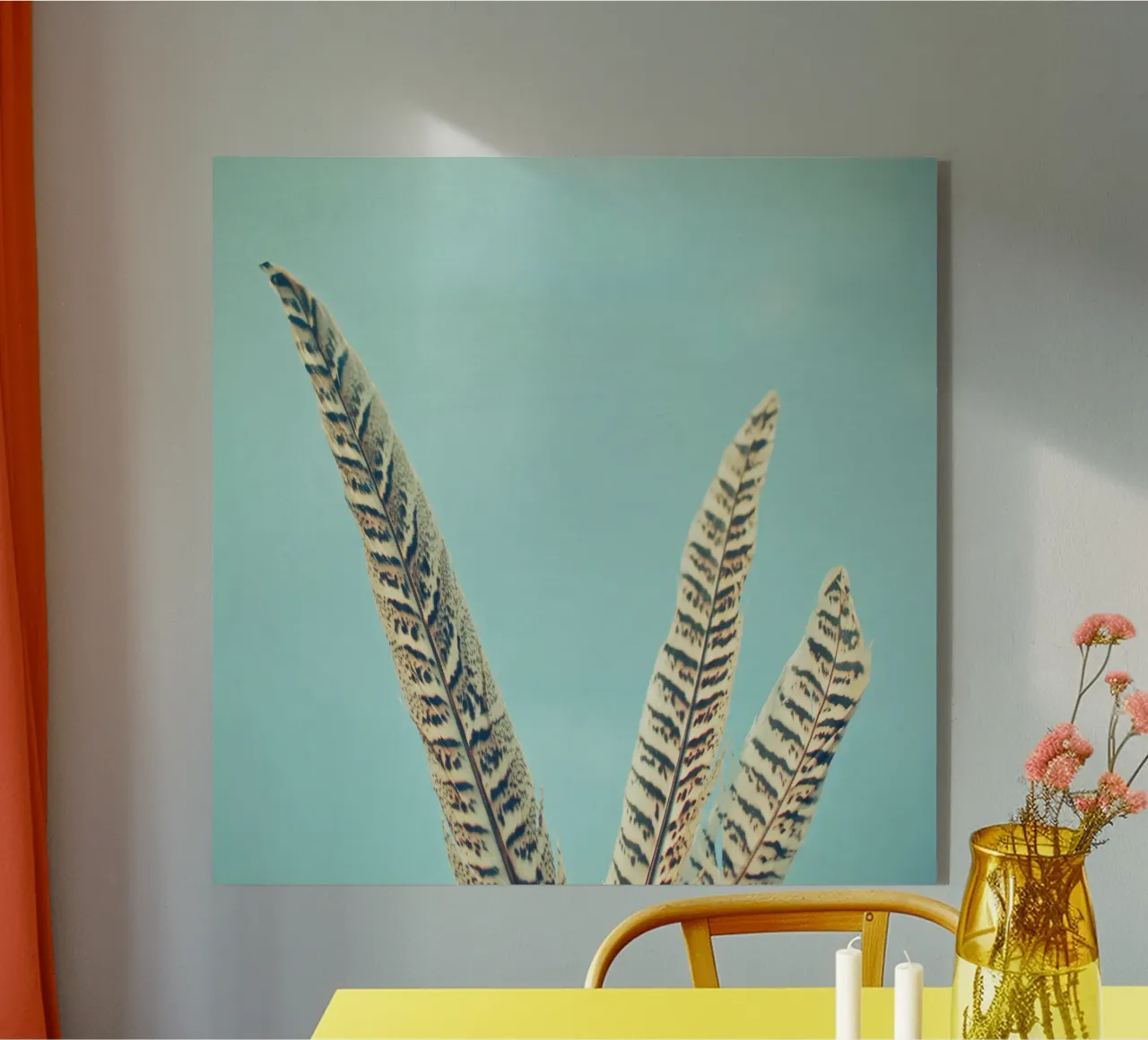 Piume plexiglass da Cassia Beck Photography