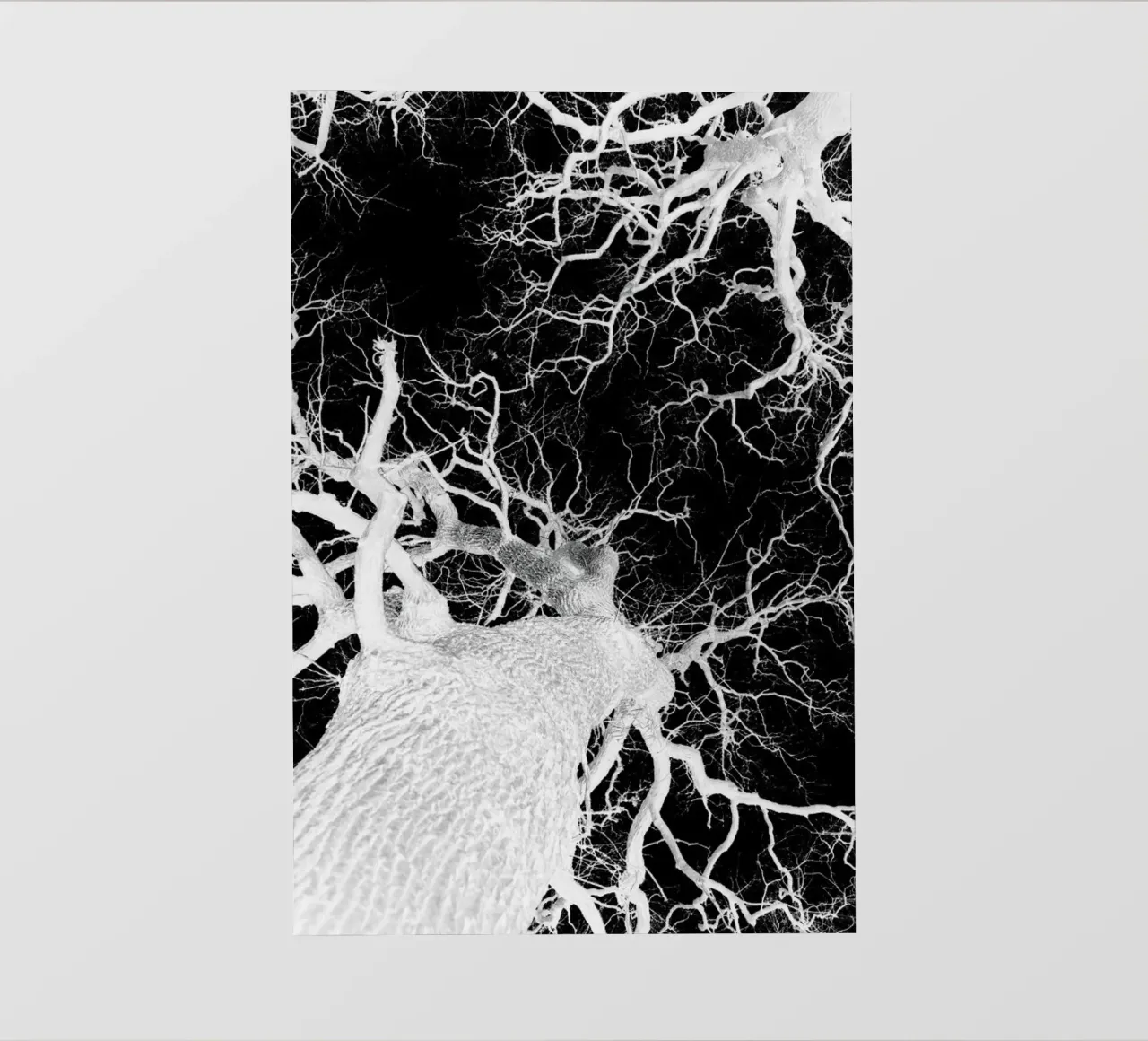 Oak Tree 2 telo in pvc da Shot By Clint