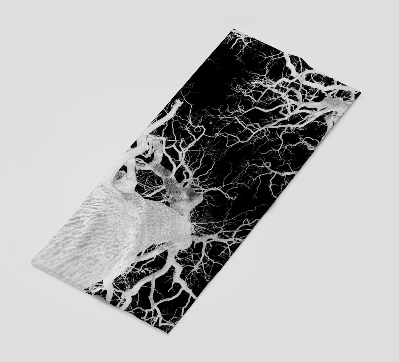 Oak Tree 2 telo mare da Shot By Clint