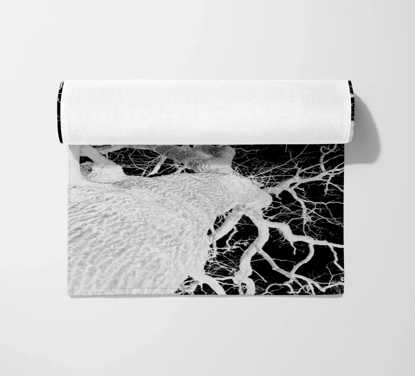 Oak Tree 2 telo mare da Shot By Clint