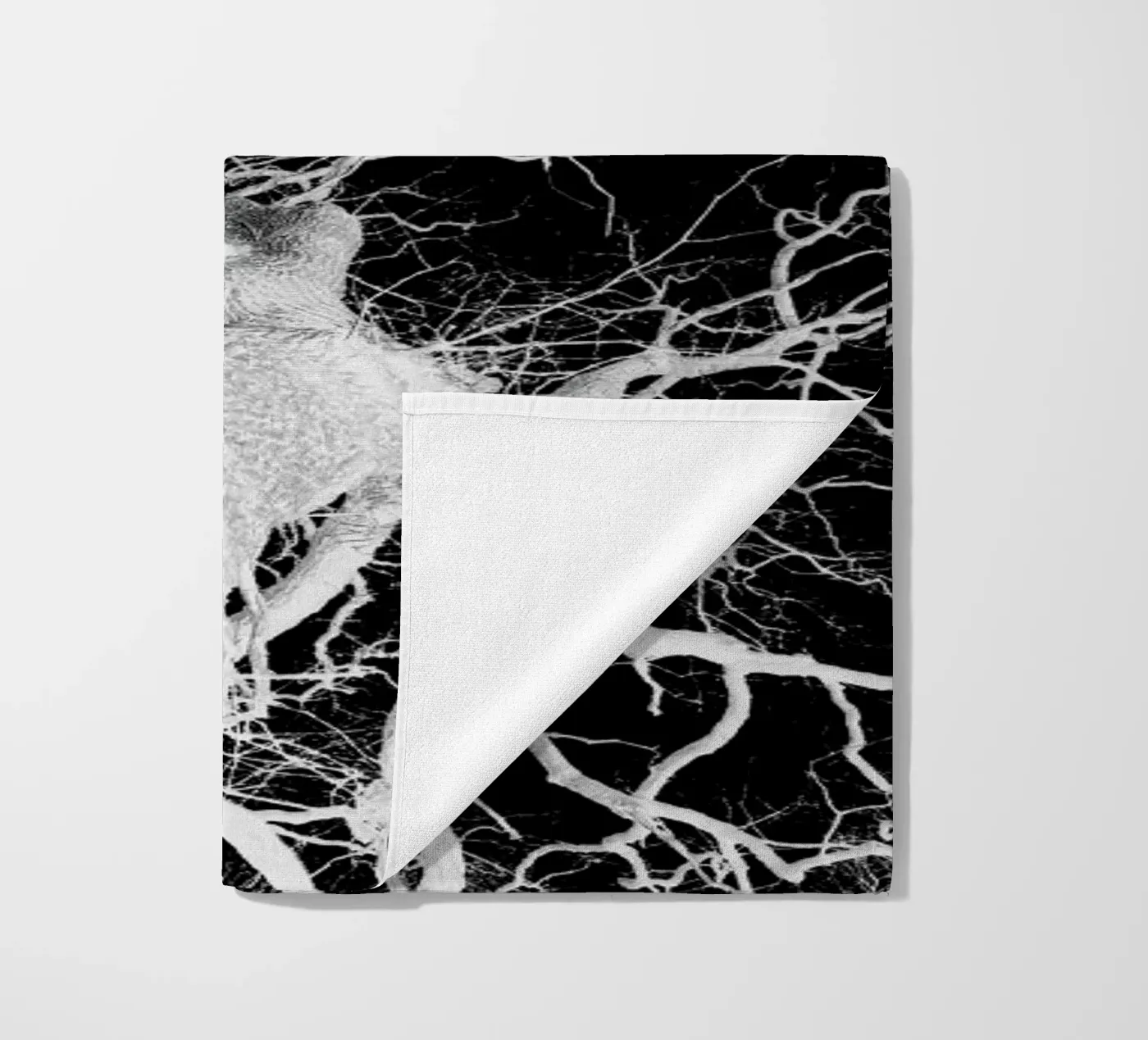 Oak Tree 2 telo mare da Shot By Clint