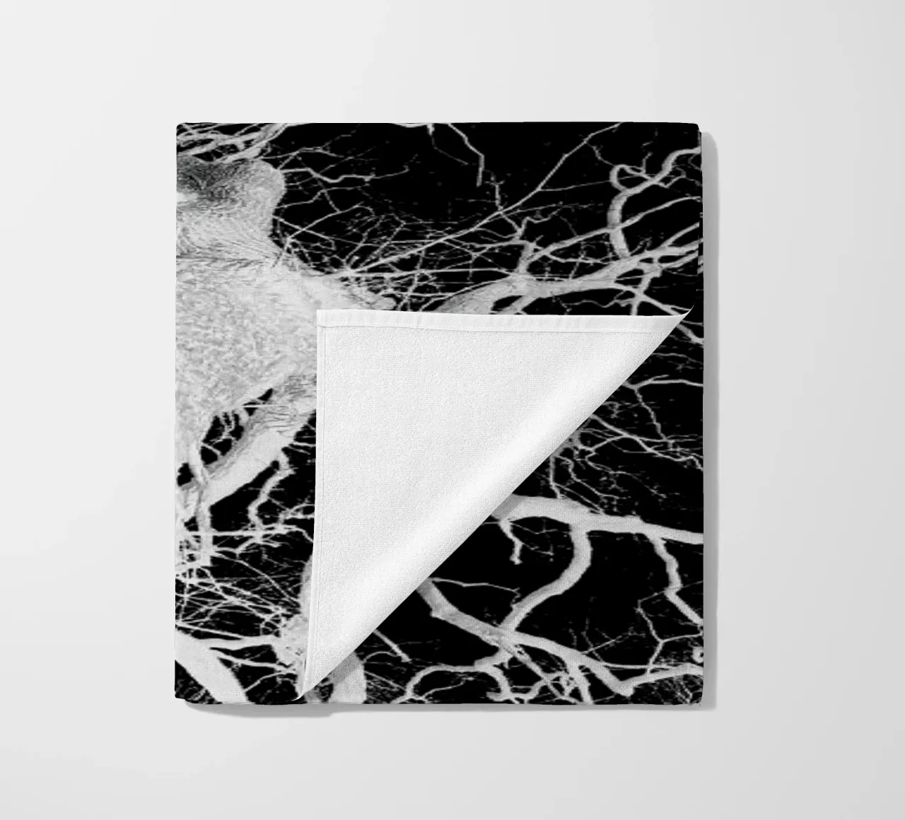 Oak Tree 2 telo mare da Shot By Clint