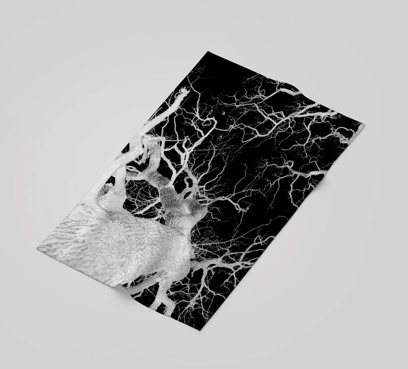 Oak Tree 2 telo mare da Shot By Clint