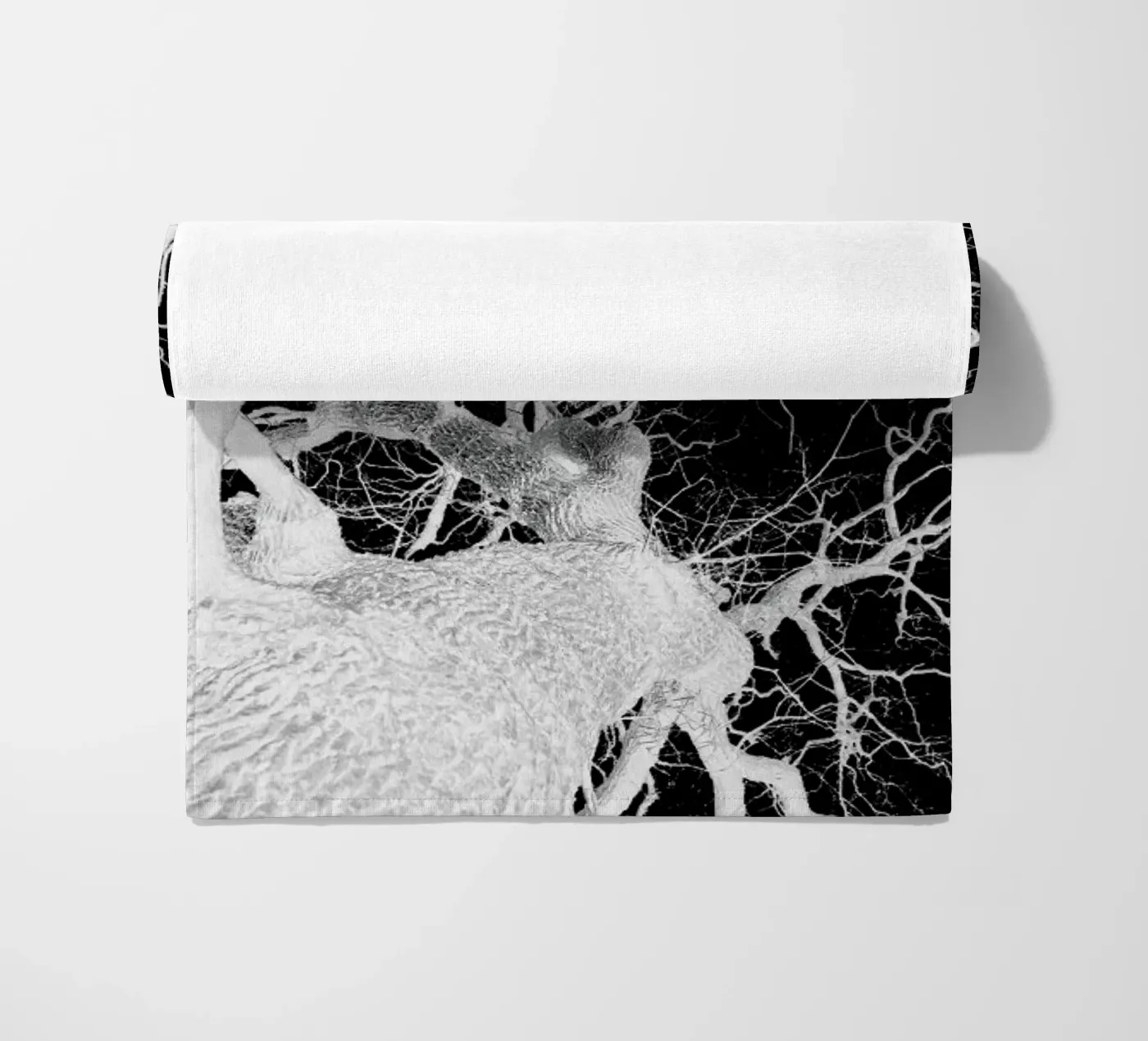 Oak Tree 2 telo mare da Shot By Clint