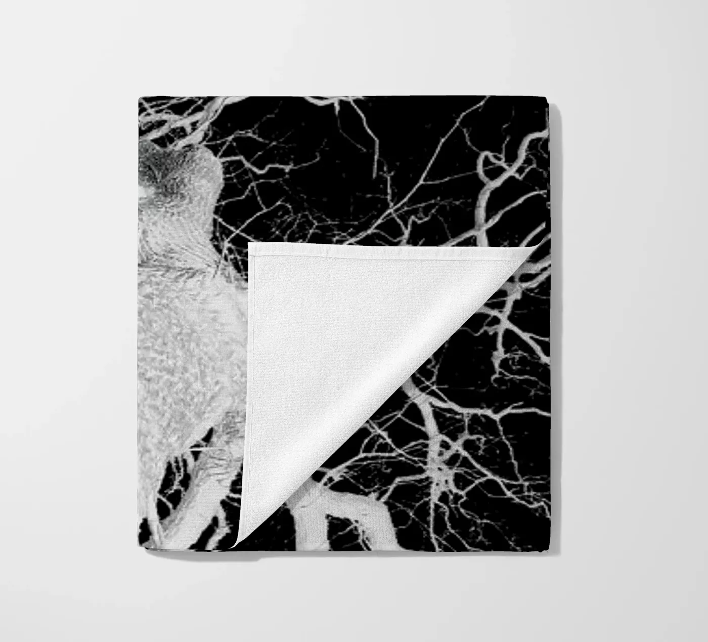 Oak Tree 2 telo mare da Shot By Clint