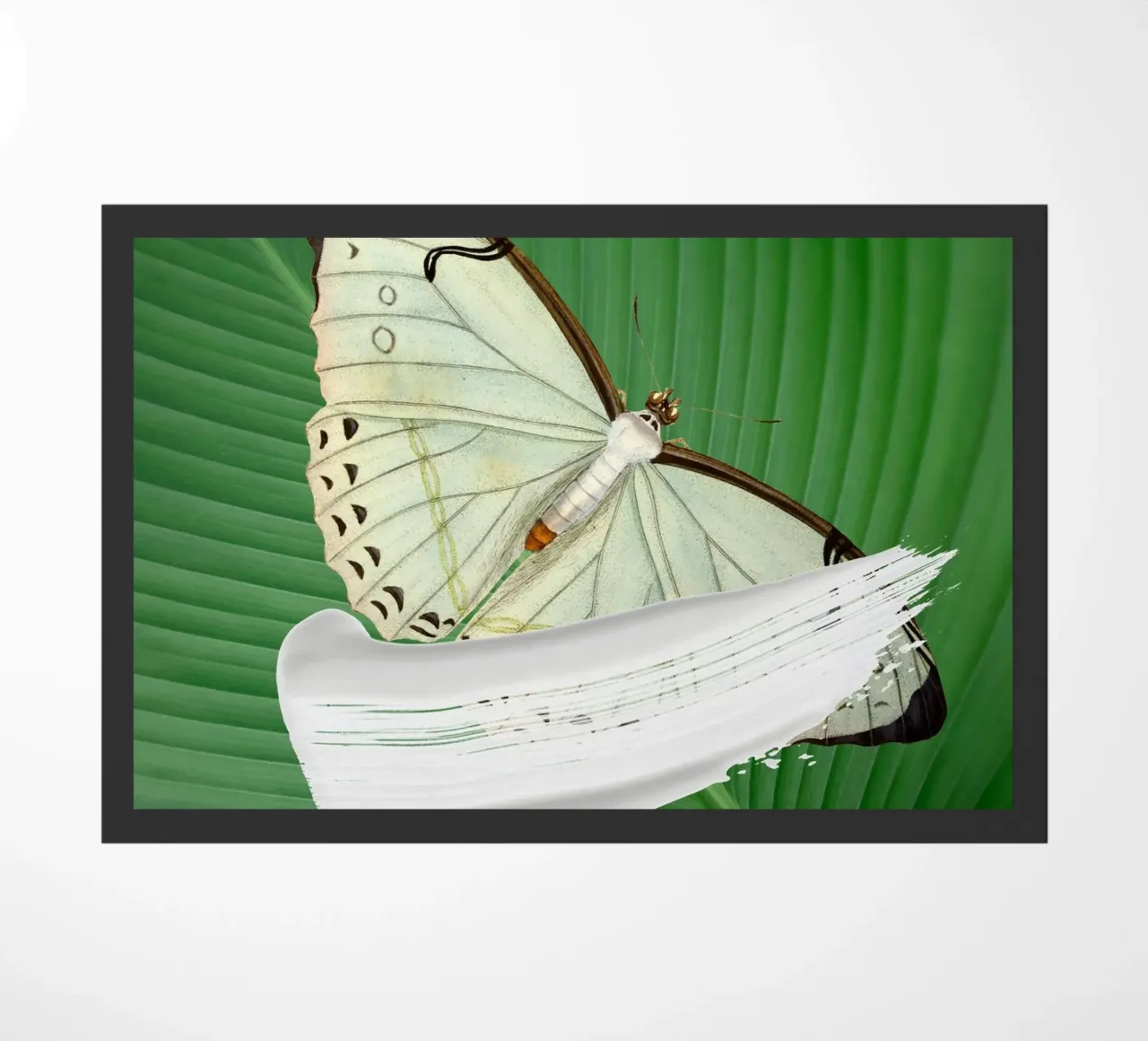 Butterfly on the leaf zerbino da LisaArtes