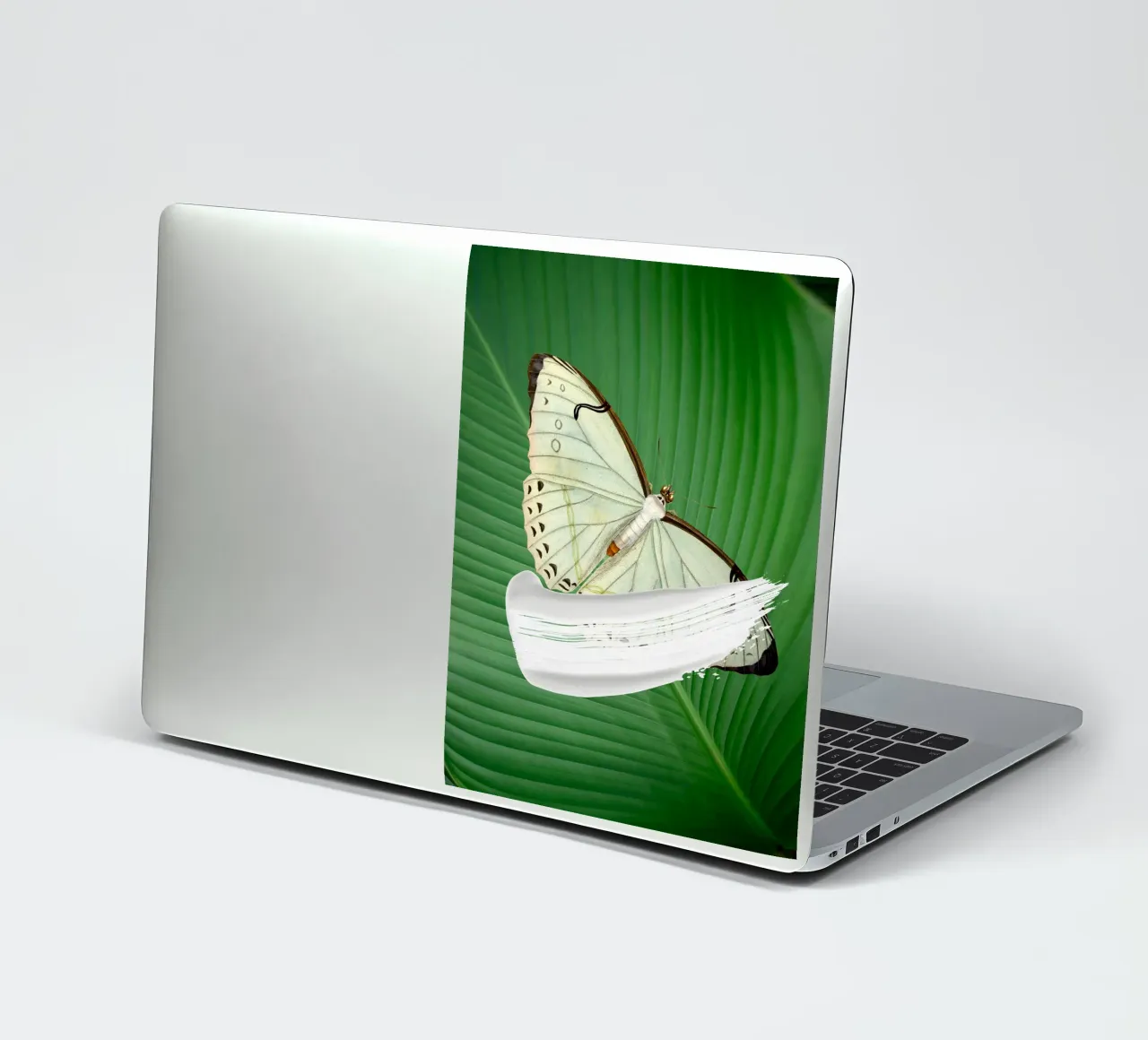 Butterfly on the leaf Sticker von LisaArtes