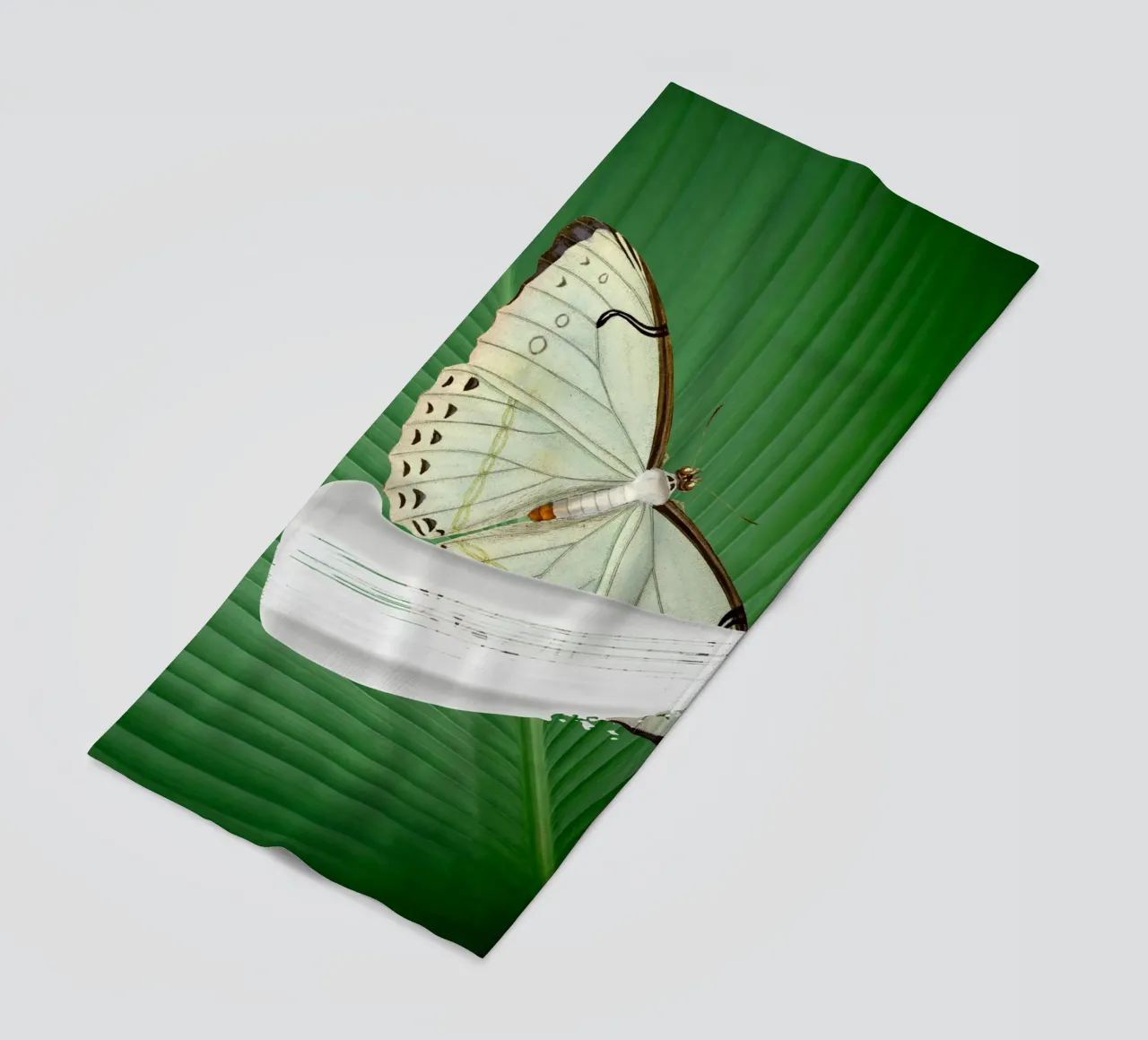 Butterfly on the leaf telo mare da LisaArtes