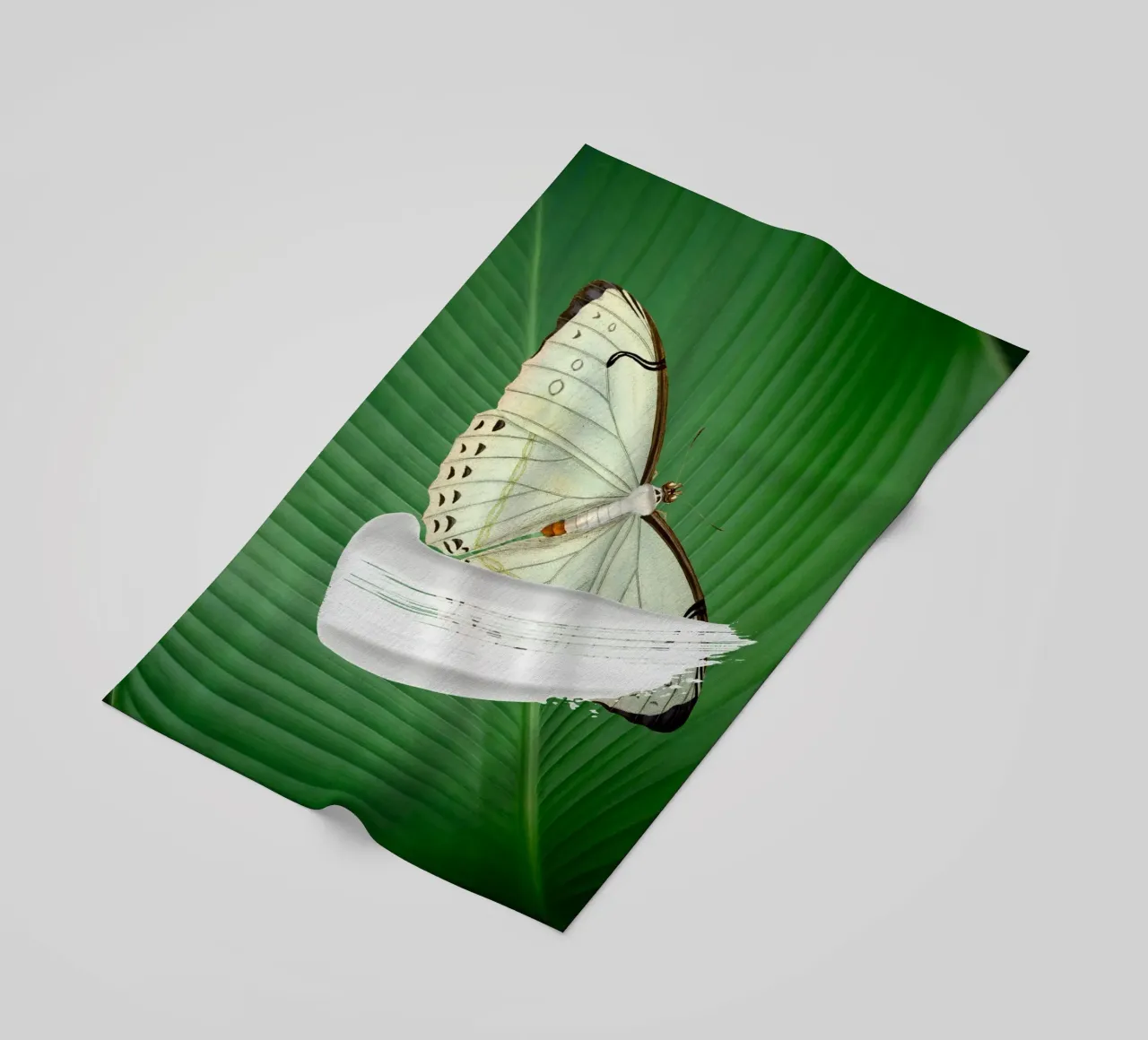 Butterfly on the leaf telo mare da LisaArtes