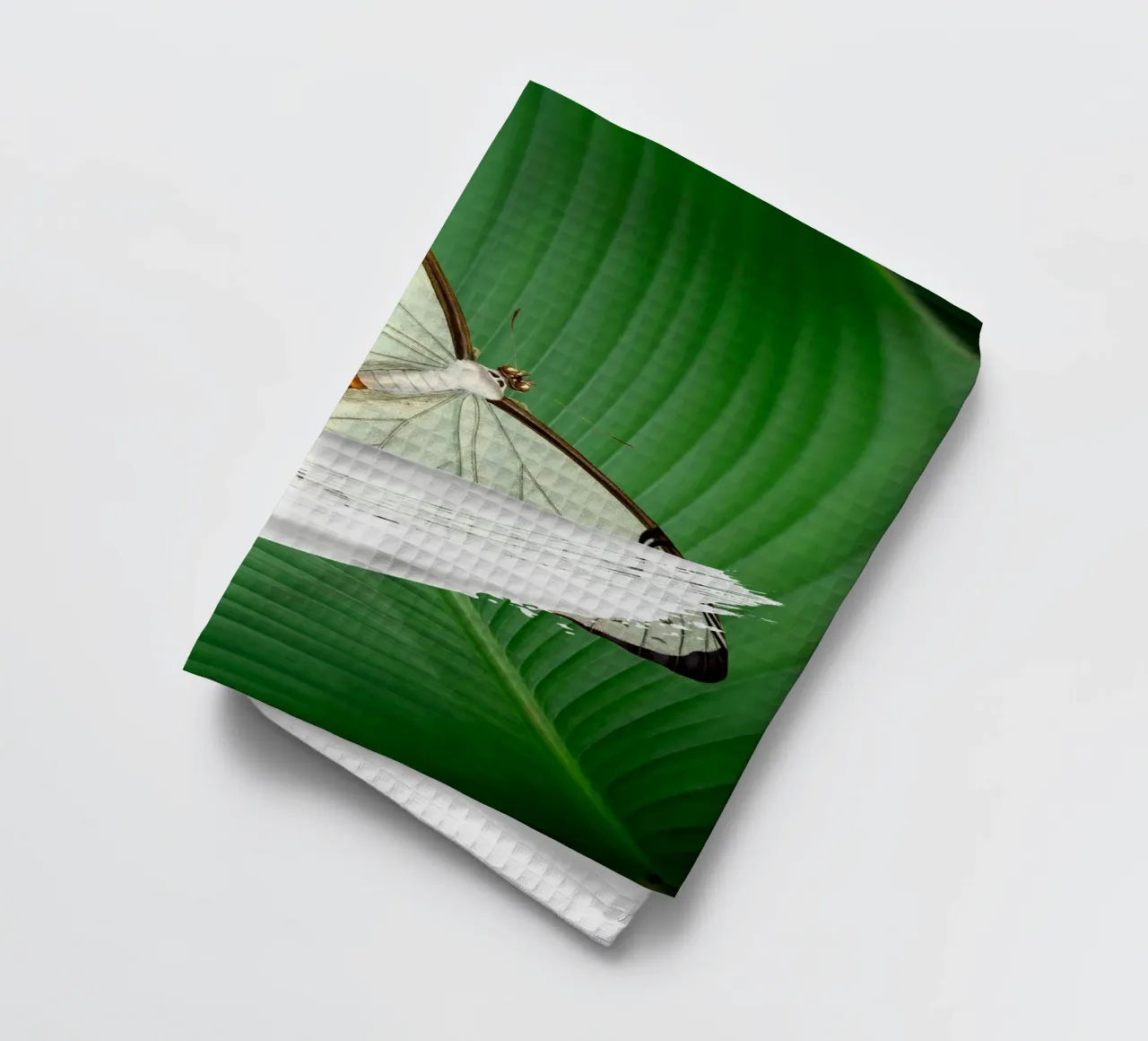 Butterfly on the leaf canovaccio da cucina da LisaArtes