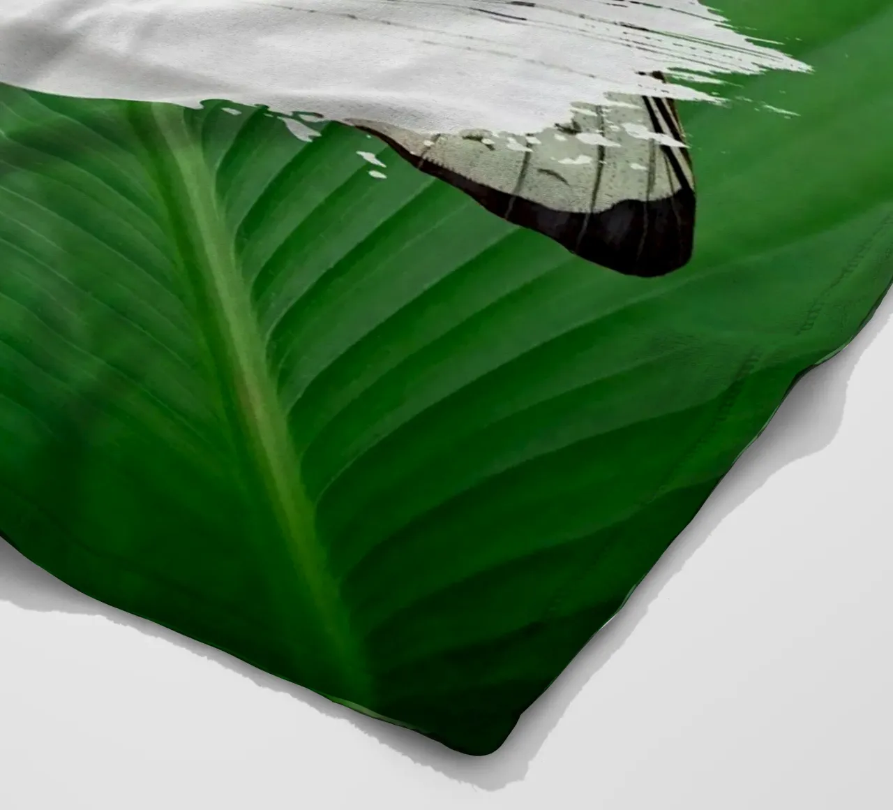 Butterfly on the leaf coperta in pile da LisaArtes
