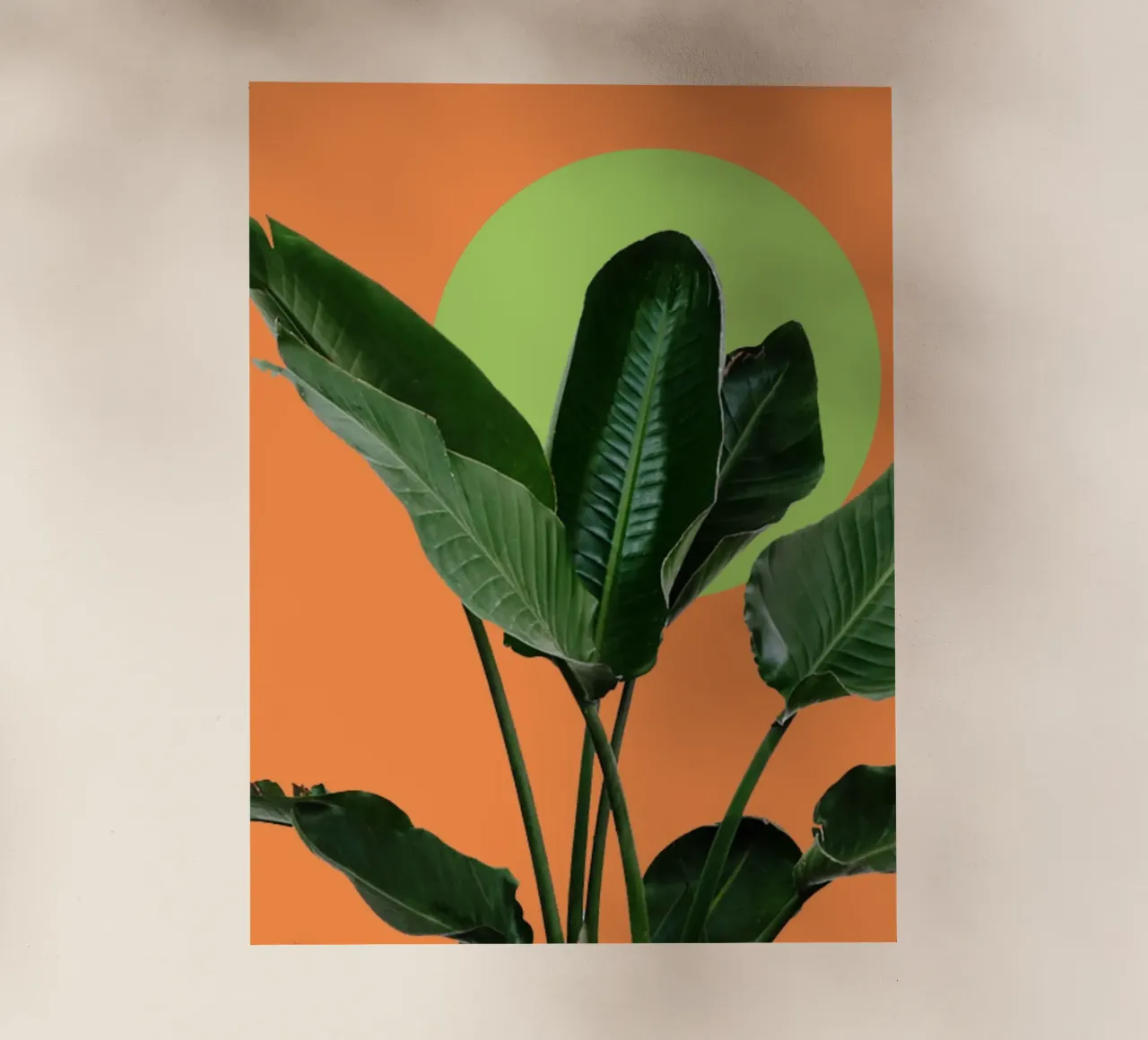 Large lush green leaves backlit film by LisaArtes