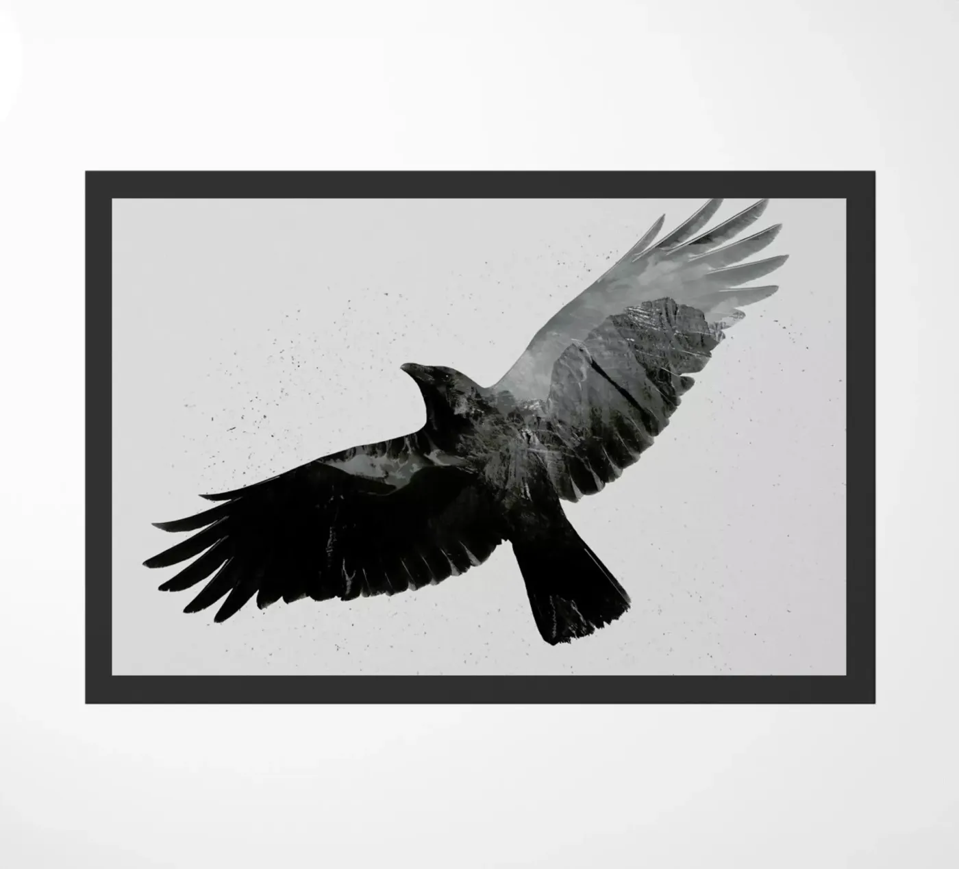 High zerbino da Chris Wharton