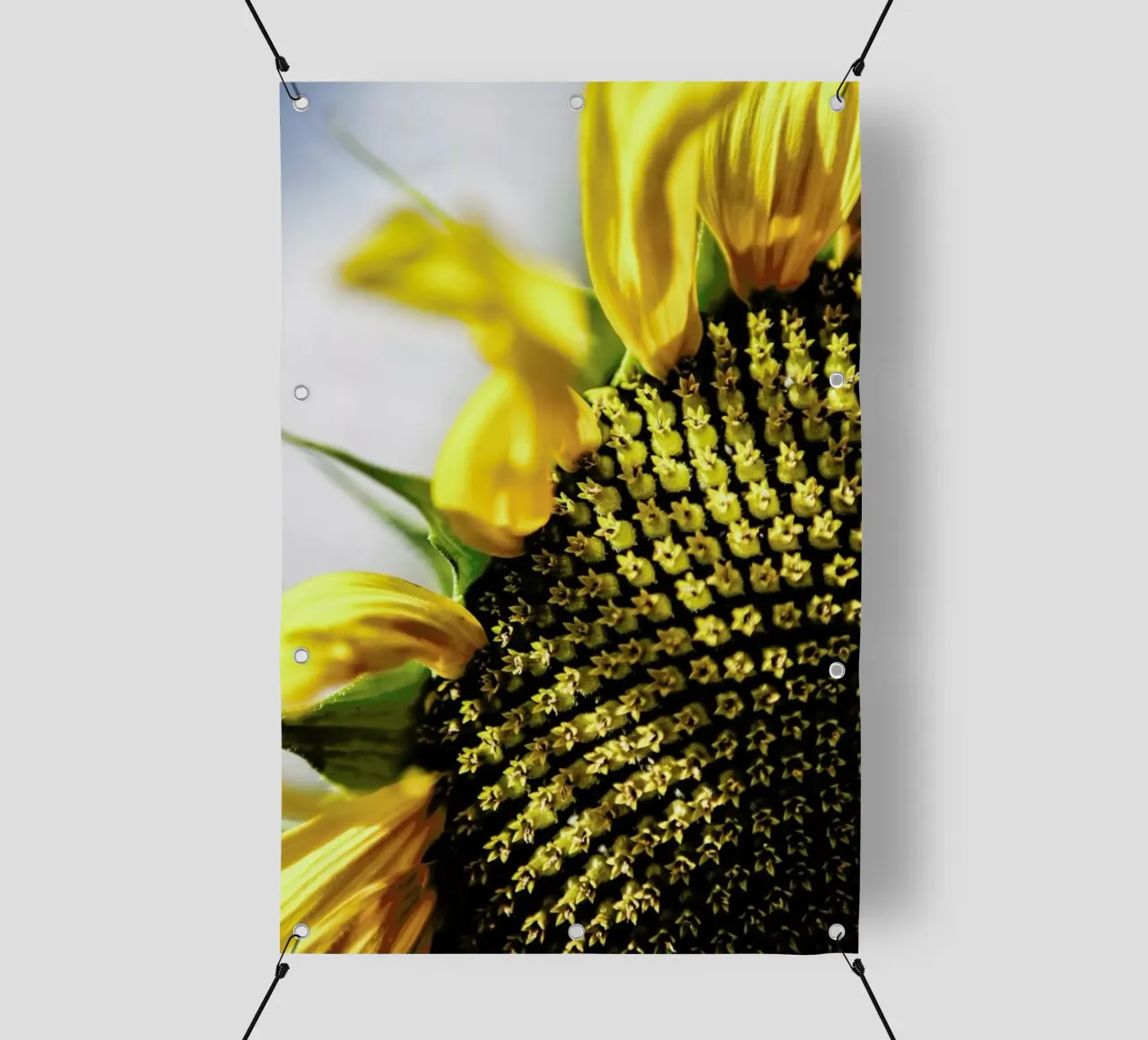 Sunflower telo in pvc da Shot By Clint