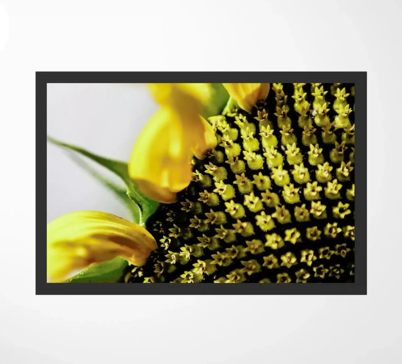 Sunflower deurmat van Shot By Clint