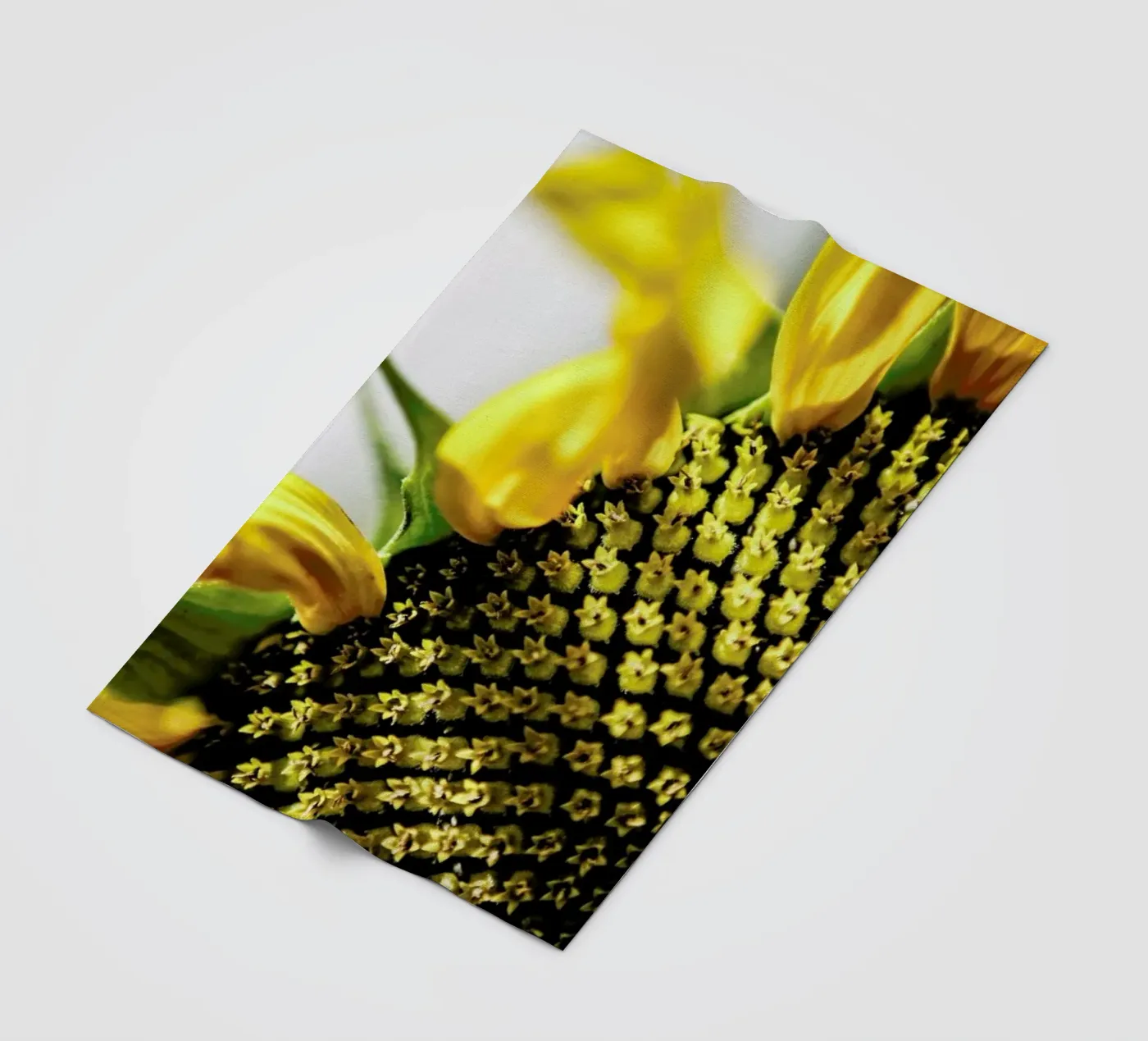 Sunflower fleecedeken van Shot By Clint